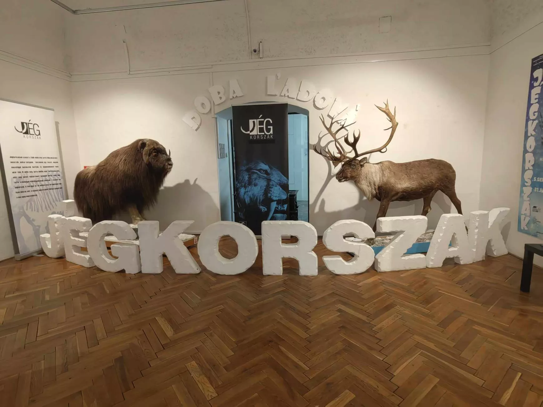 jégkorszak