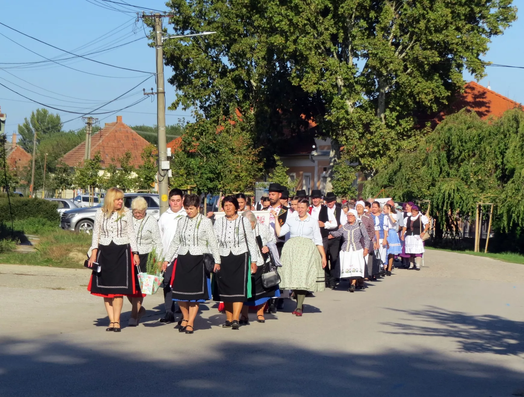 rozmaring-2.jpg