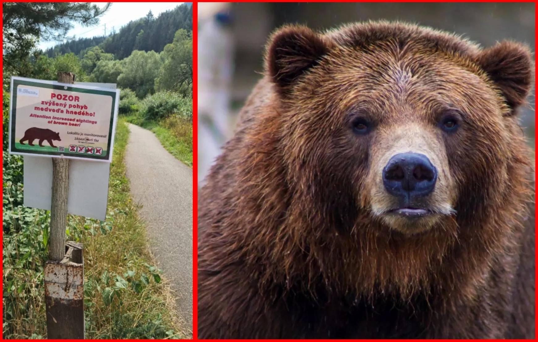 Vizsgálat indul