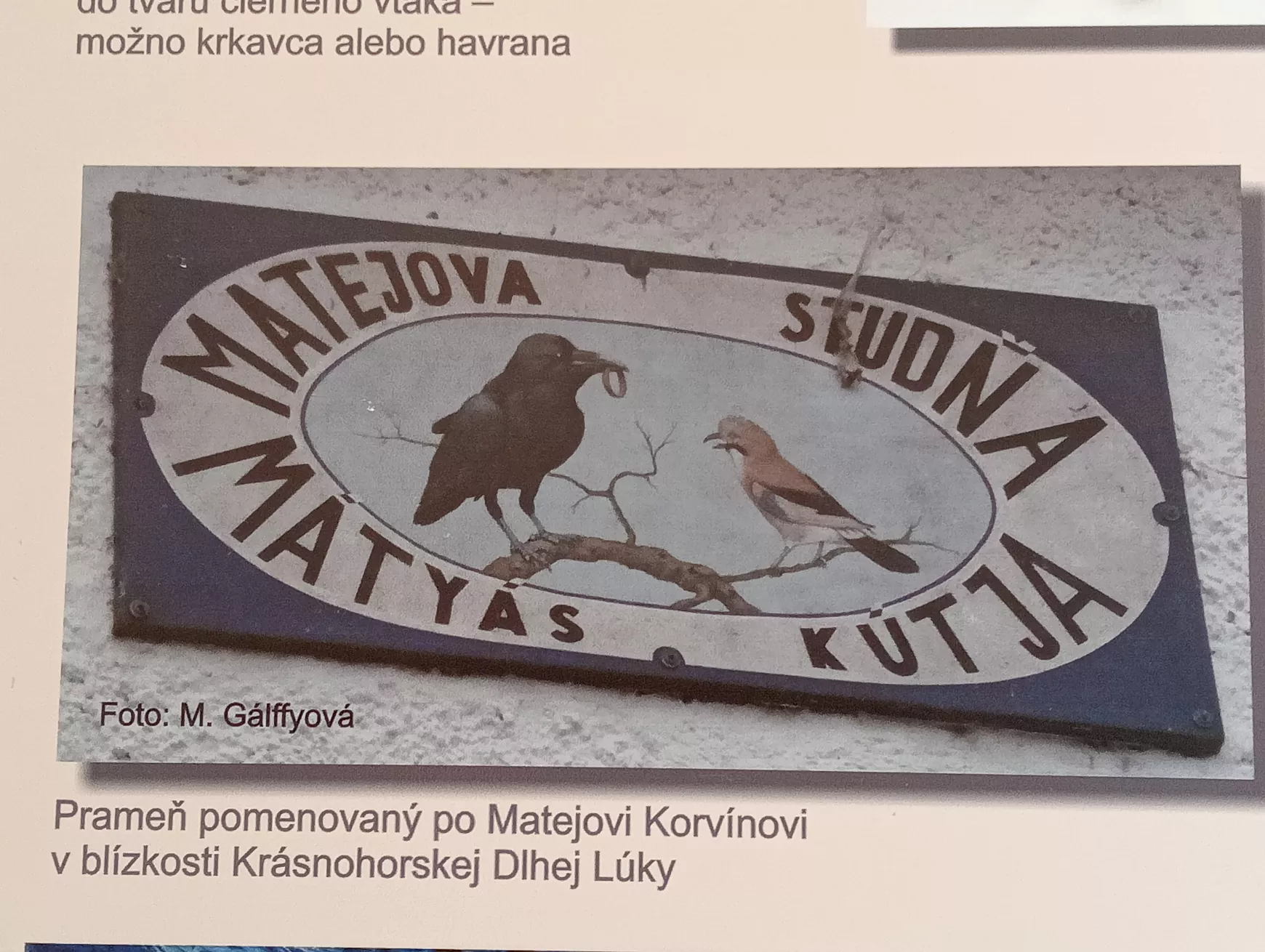 A Hunyadiak hollójától a tolvaj szarkán át, a varjúféléket övező mítoszokig a Duna Menti Múzeumban - KÉPEKKEL 