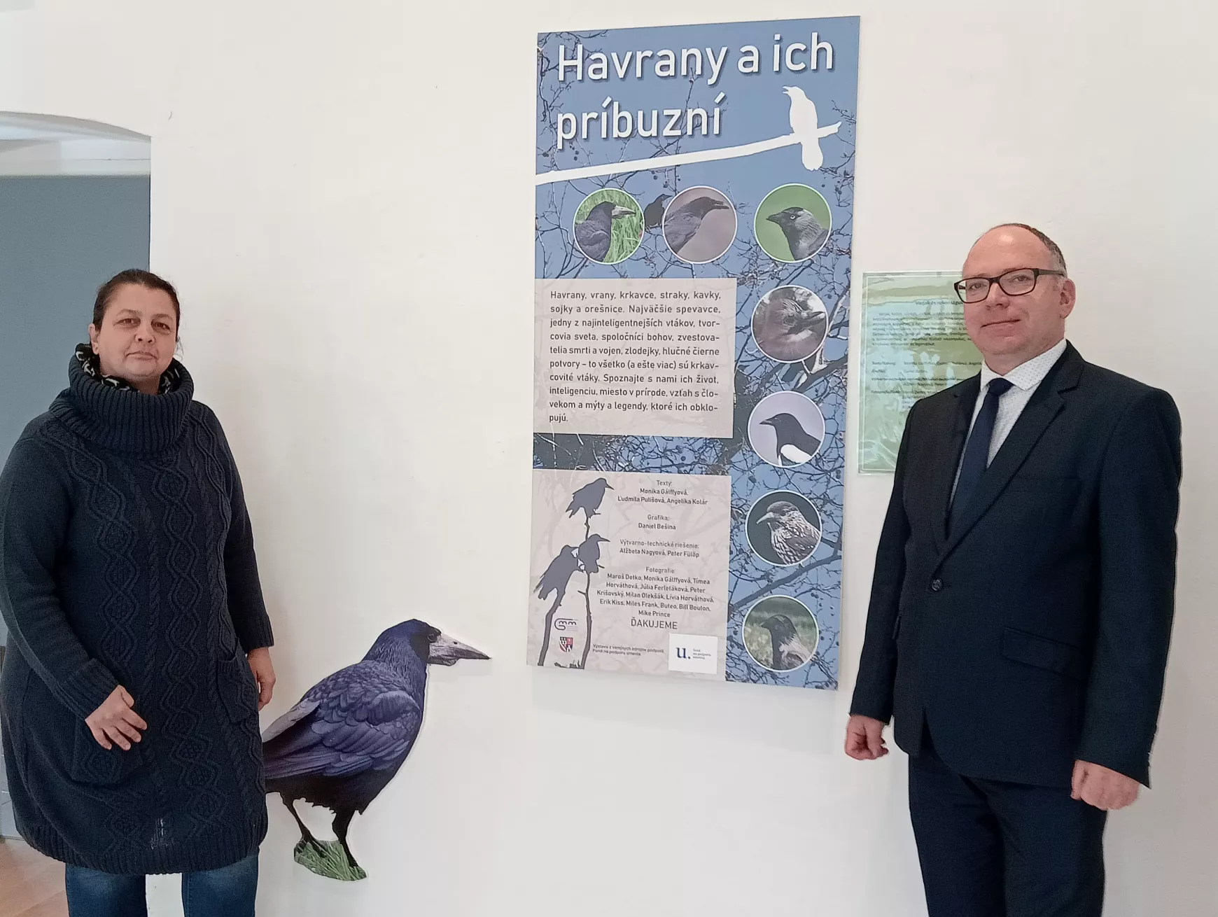 A Hunyadiak hollójától a tolvaj szarkán át, a varjúféléket övező mítoszokig a Duna Menti Múzeumban - KÉPEKKEL 