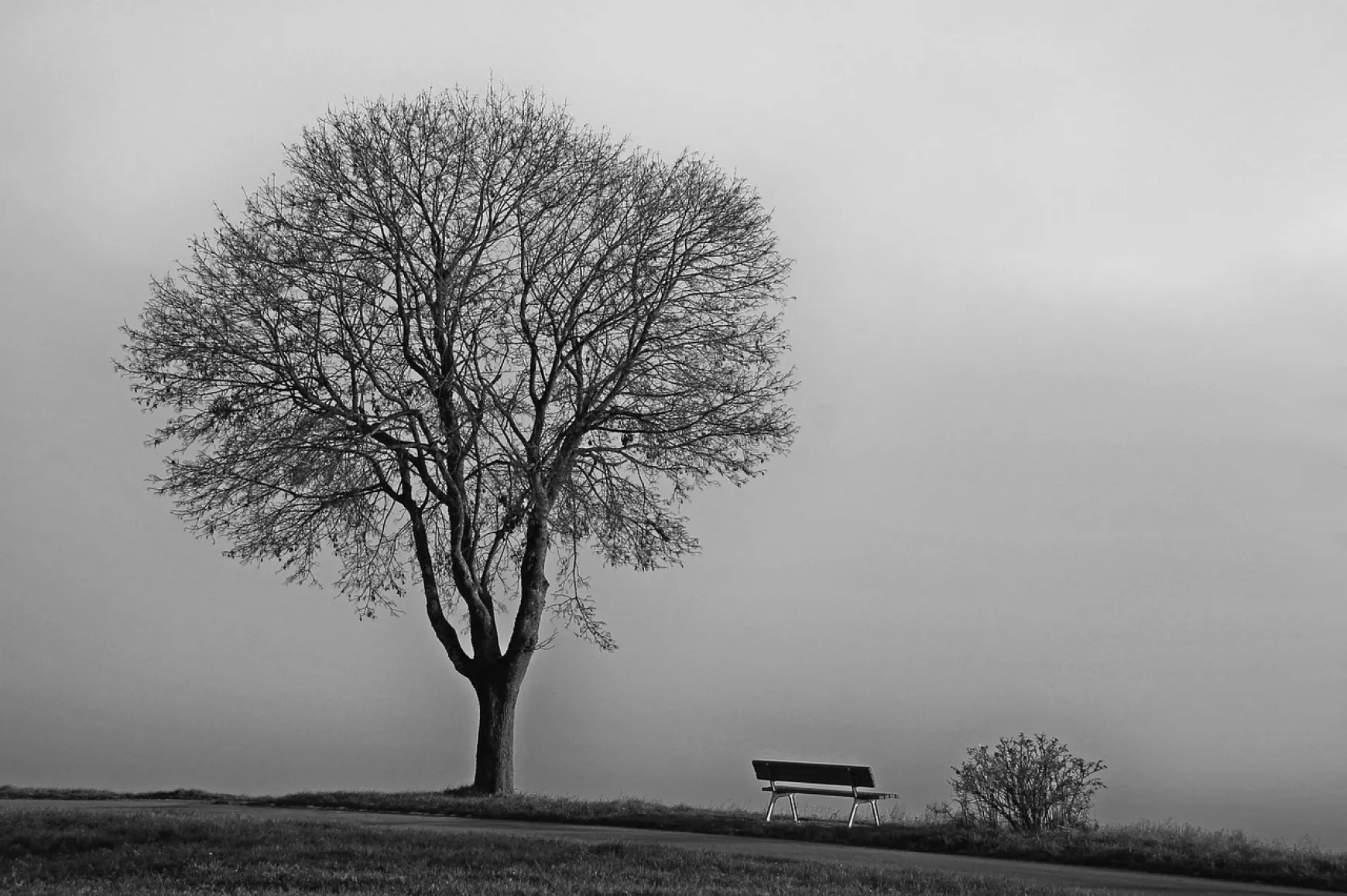 november_pixabay.com_