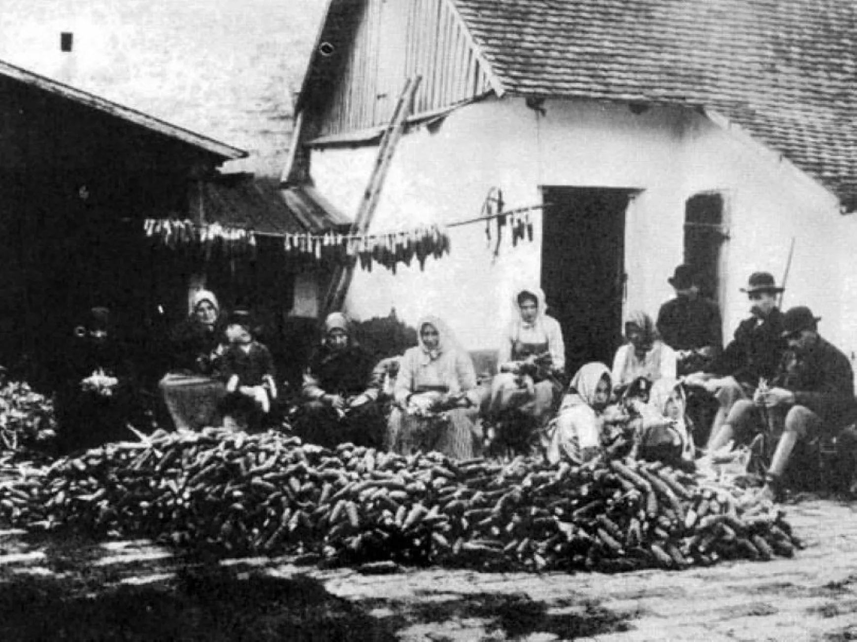 kukorica