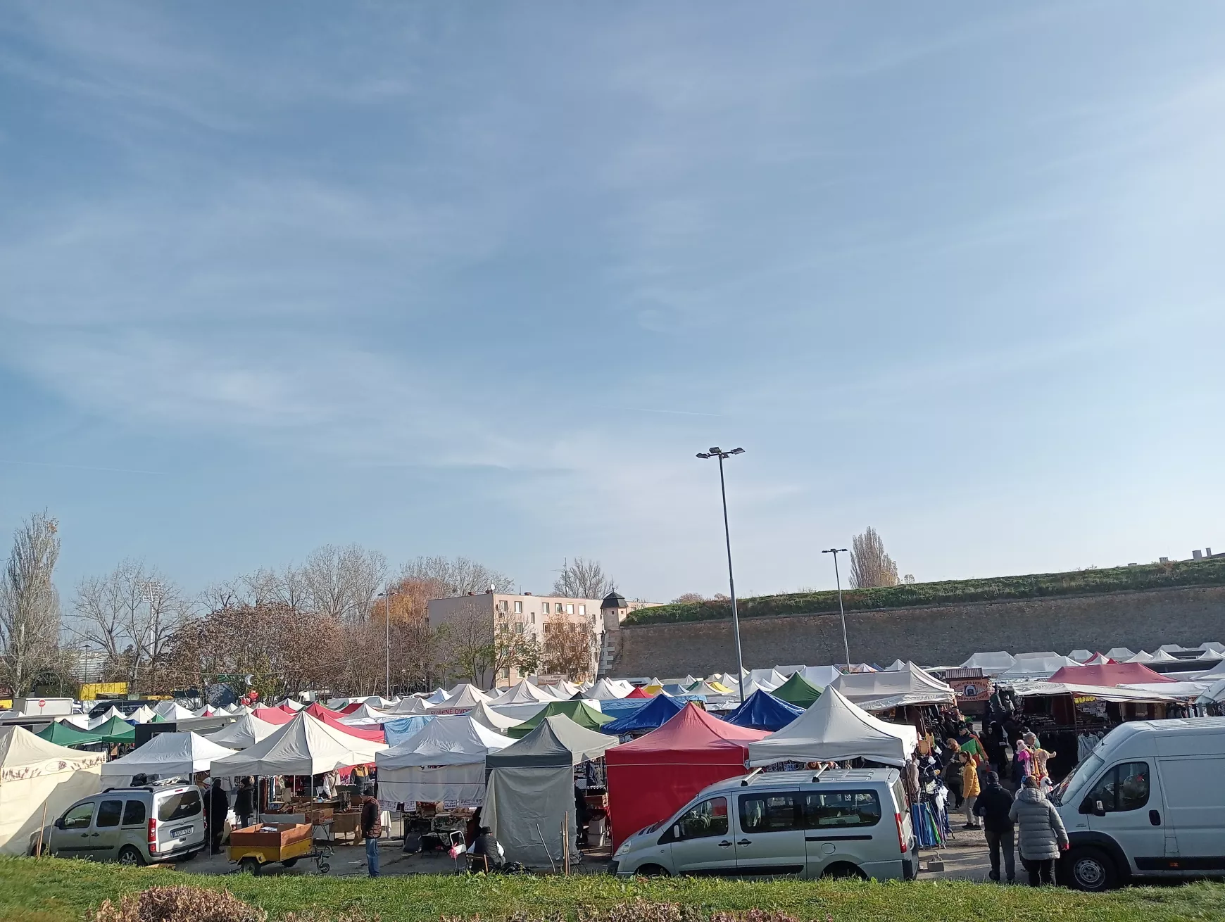 András-napi vásár bagolymentőkkel, genszterekkel, petíciózókkal… - KÉPEKKEL