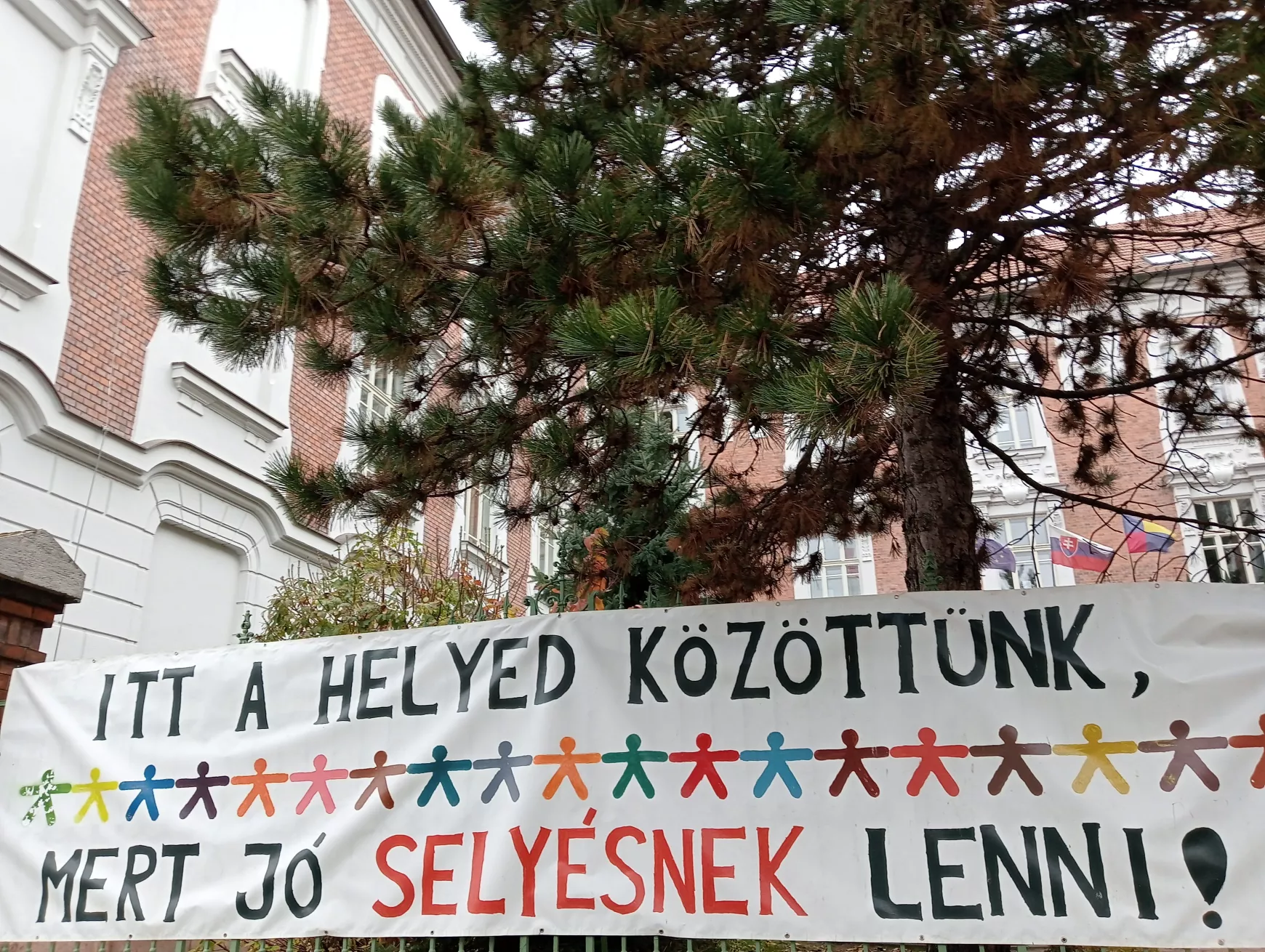  Aki "selyés" akar lenni, nyílt napra kell annak menni…! – KÉPEKKEL 