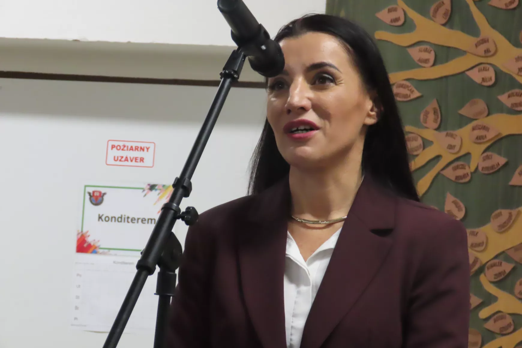 Molnár Karolina Magyarország belügyminisztériumának helyettes államtitkára 