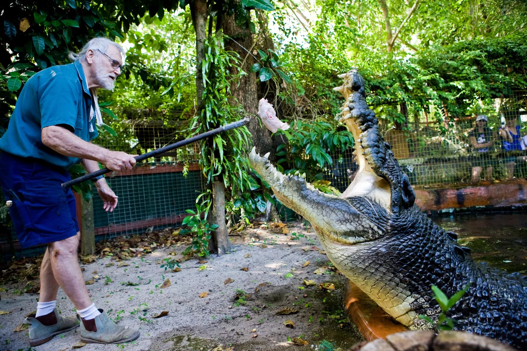 Krokodil