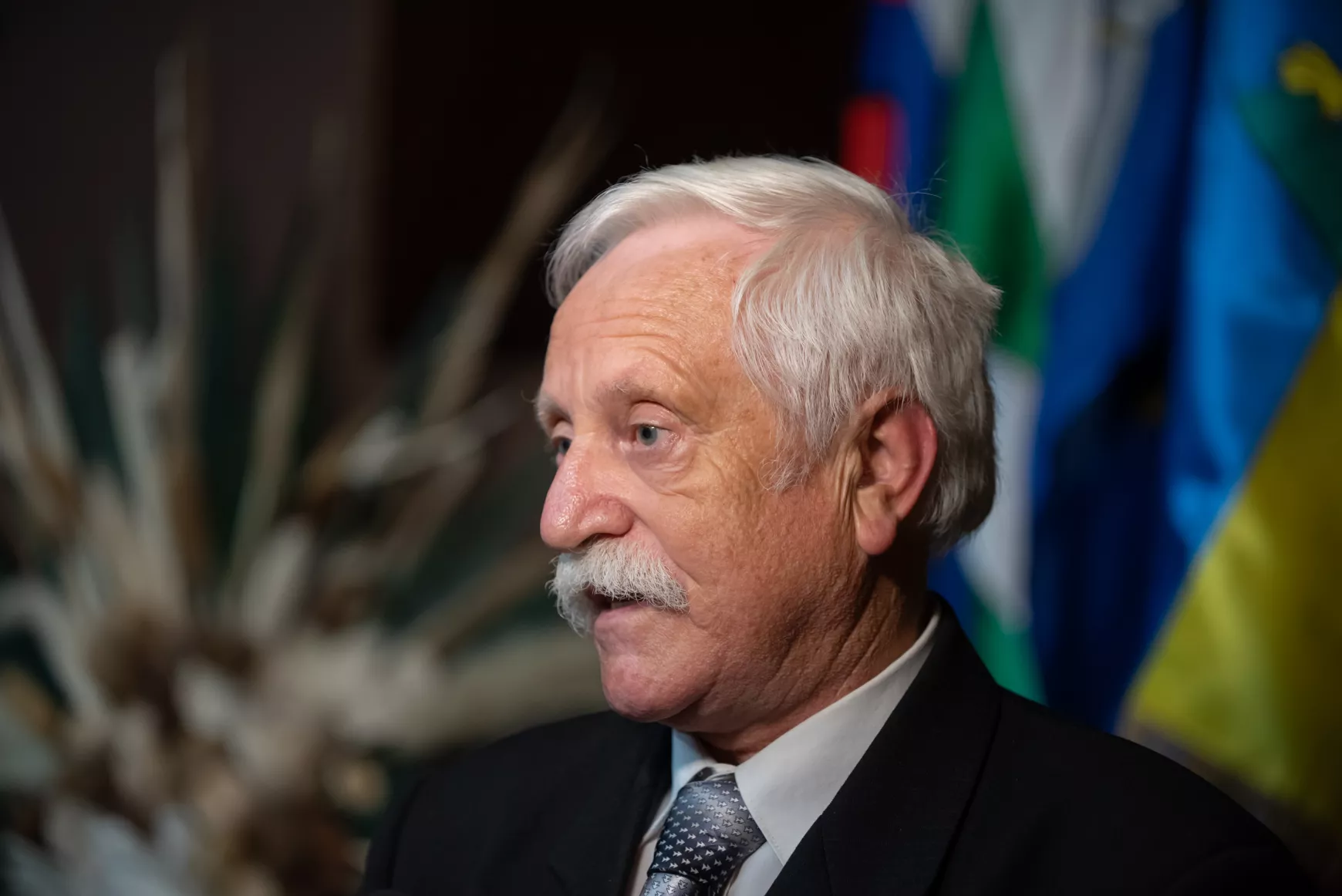 b. kovács