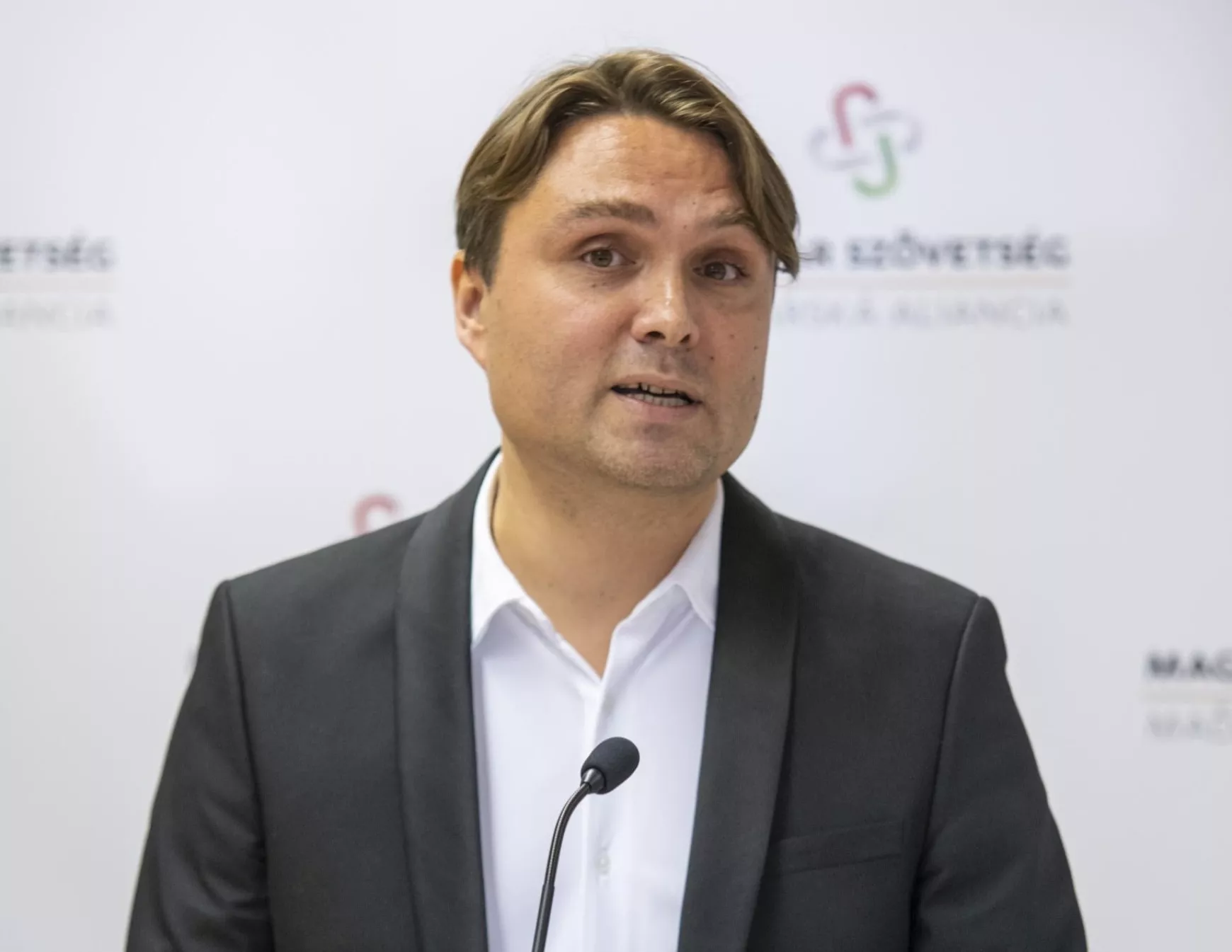 gubík