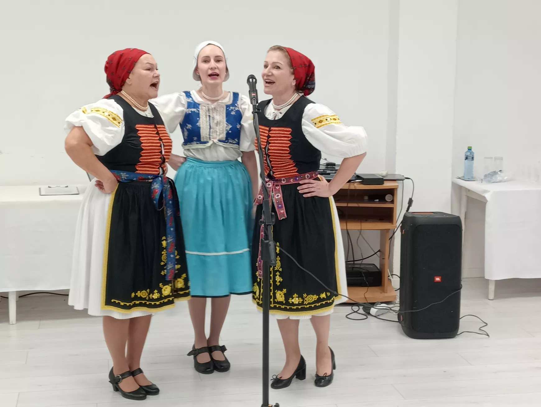 Közös ihaj-csuhaj a példaértékű magyar-szlovák együttélésért - KÉPEKKEL