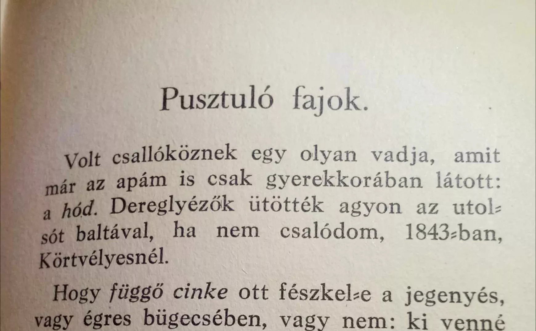 foldes-gyorgy-kukkonia-lelke