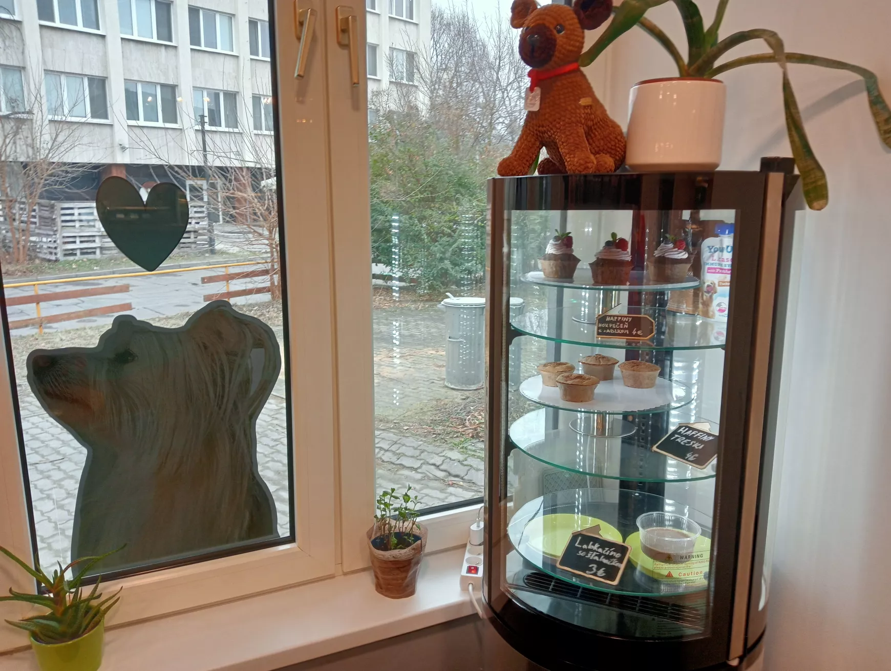 Kutya jó hely a komáromi Hafpark – KÉPEKKEL