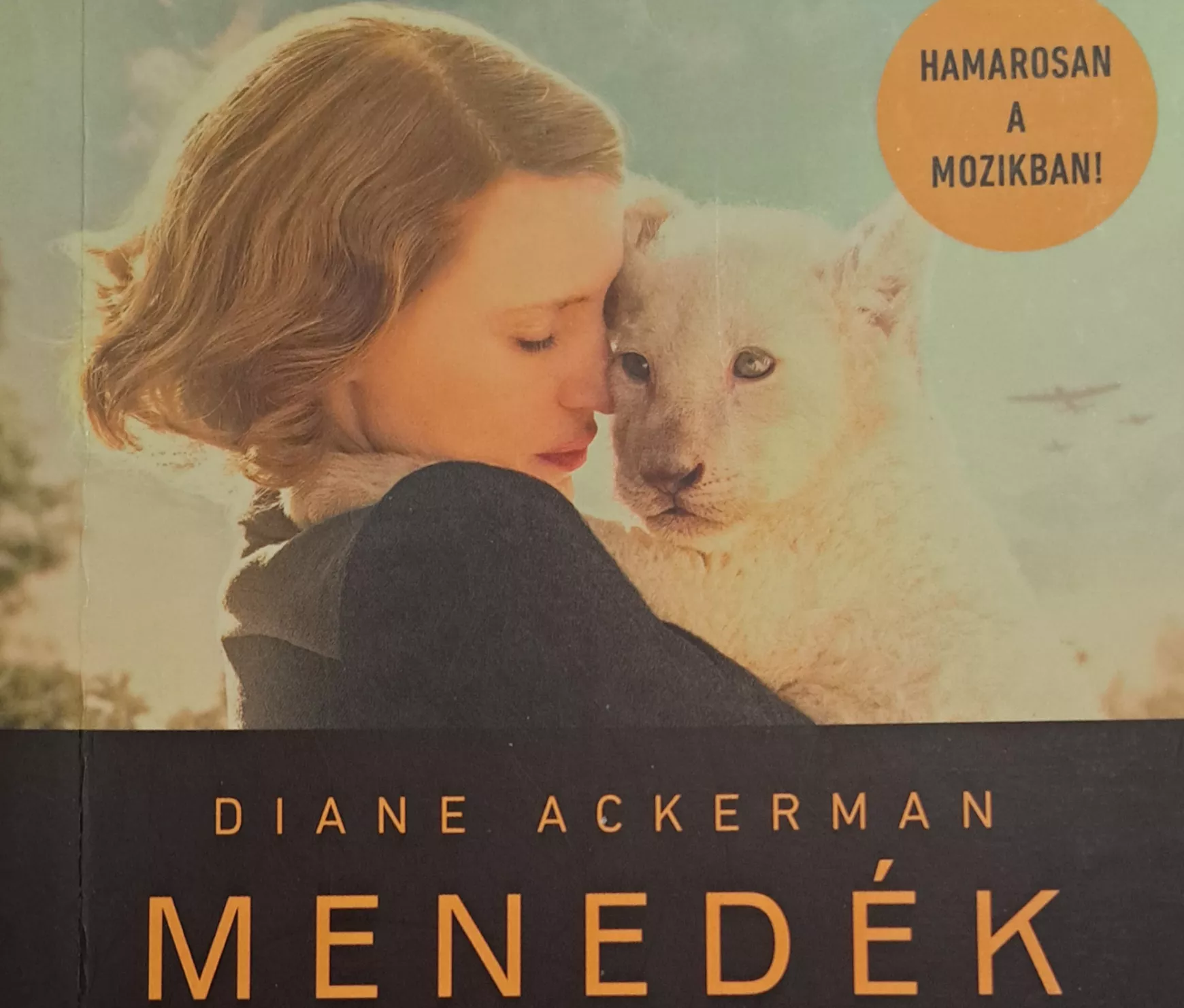menedék