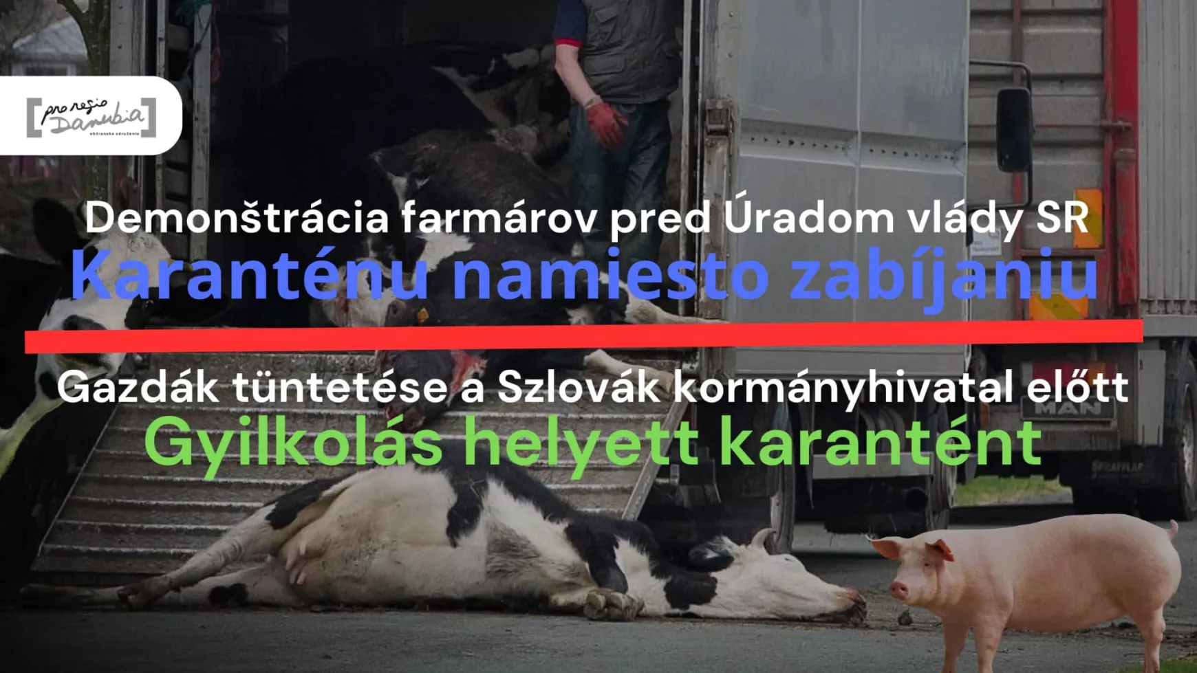 Száj- és körömfájás