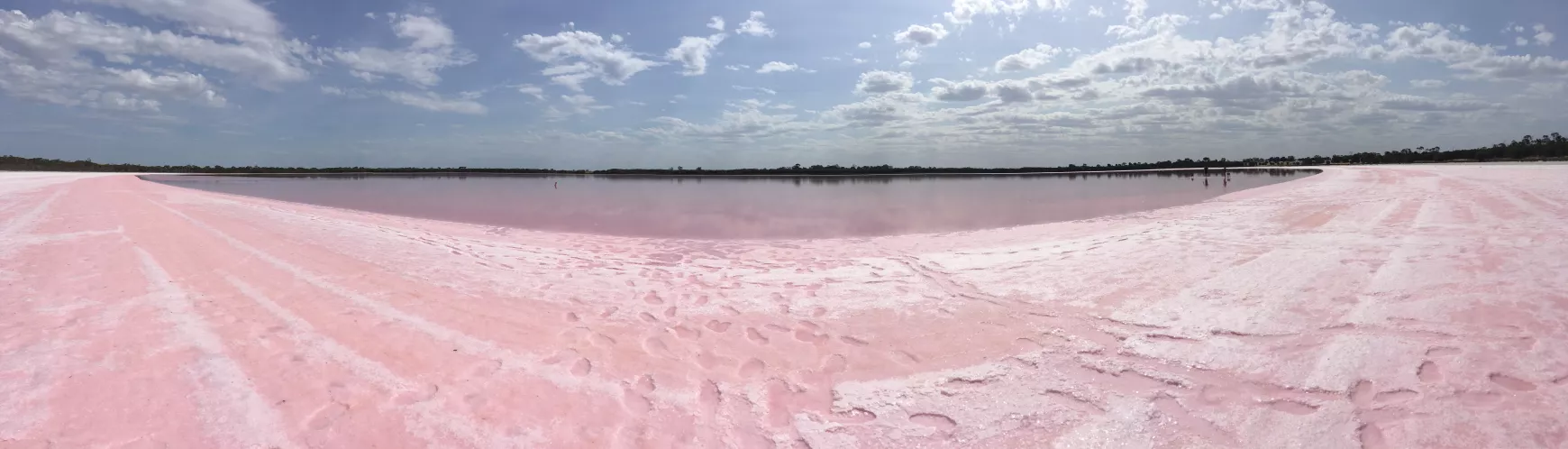 A Pink Lake