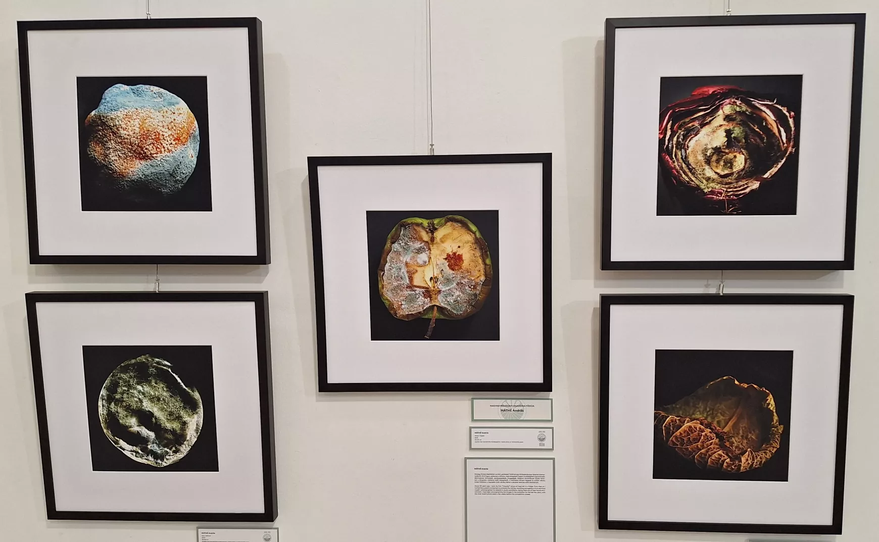 A XXIII. Esztergomi Fotográfiai Biennálé kiállítása a dunaszerdahelyi Kortárs Magyar Galériában