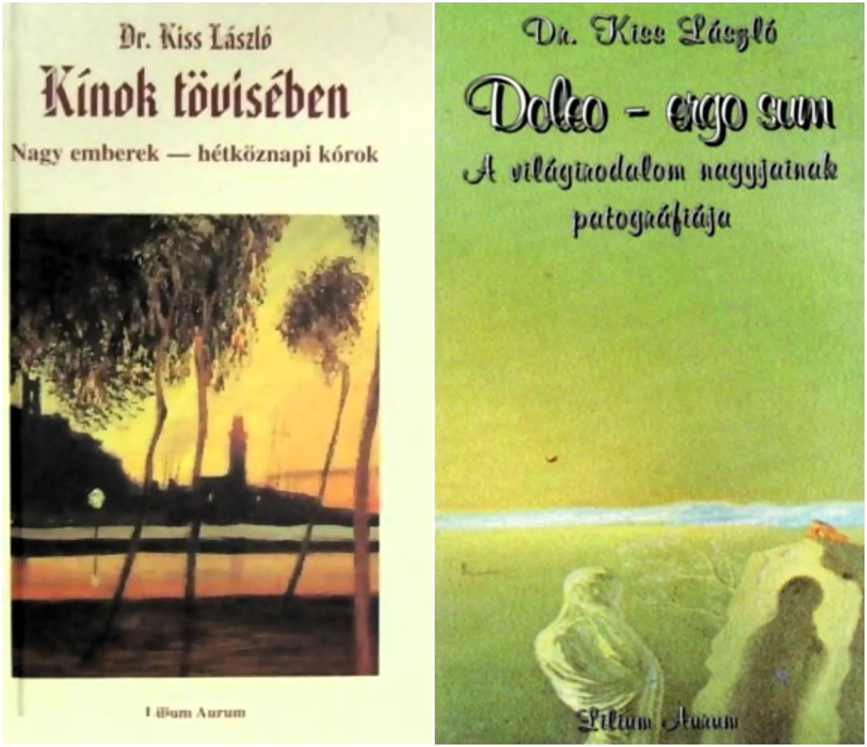 Magyarok - külföldiek