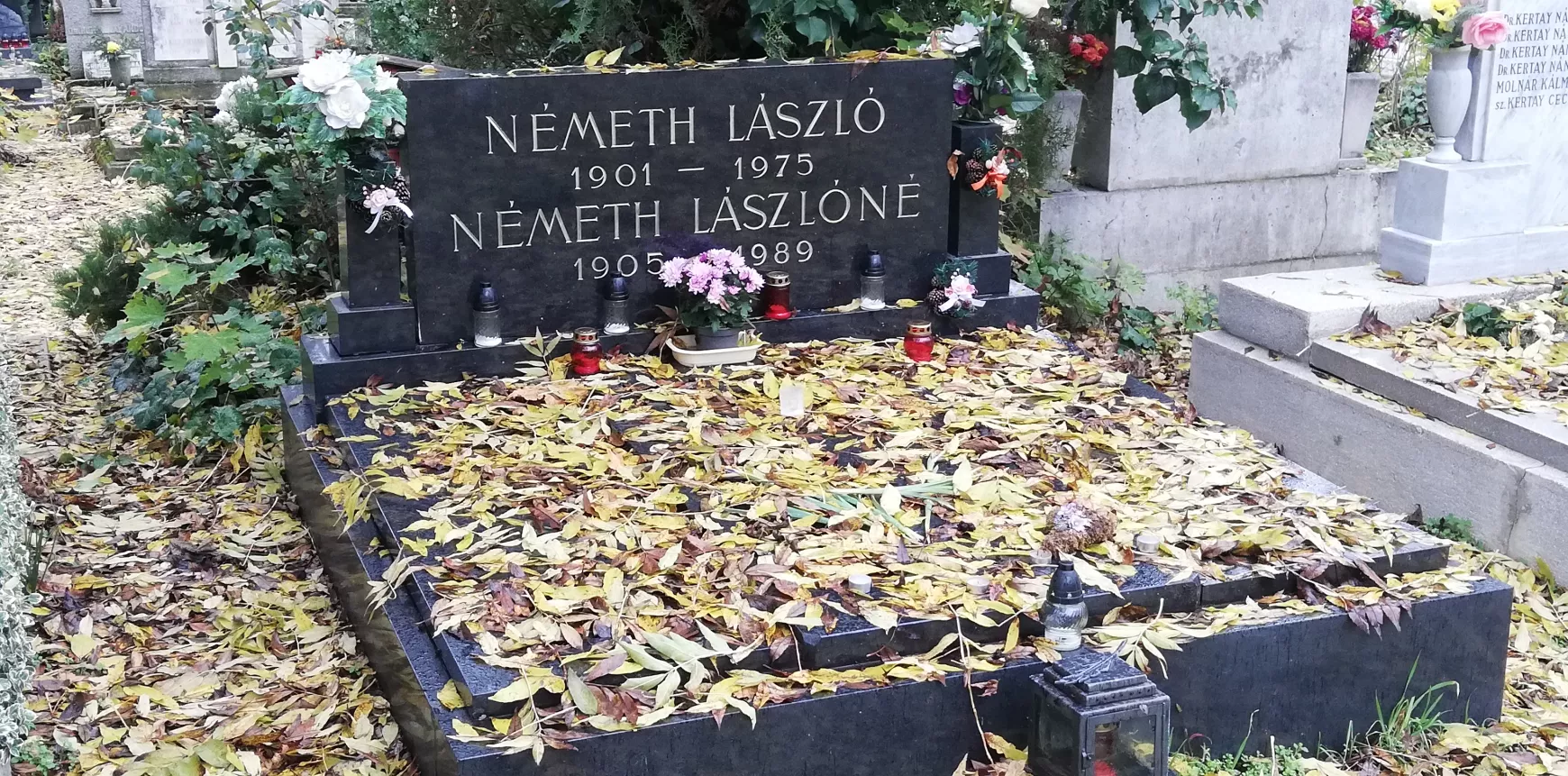 Németh László