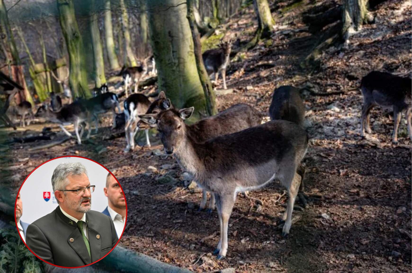 Békességóhajtás