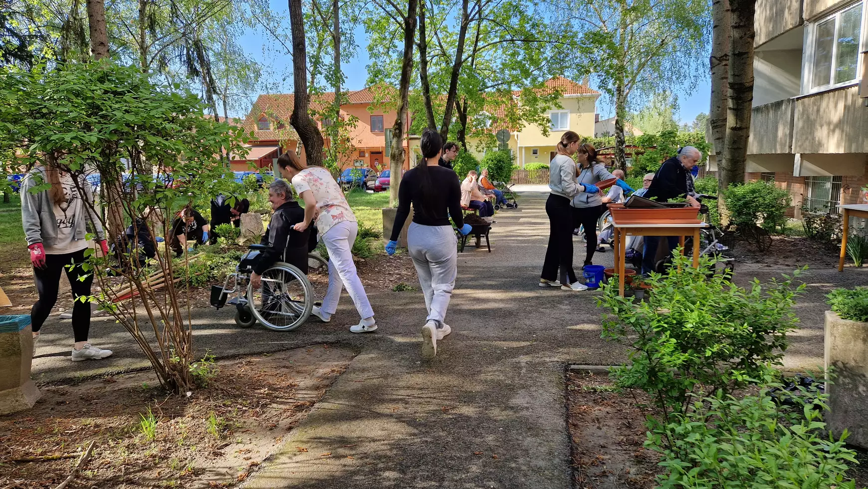 Egészségügyi Középiskola és idősek otthona