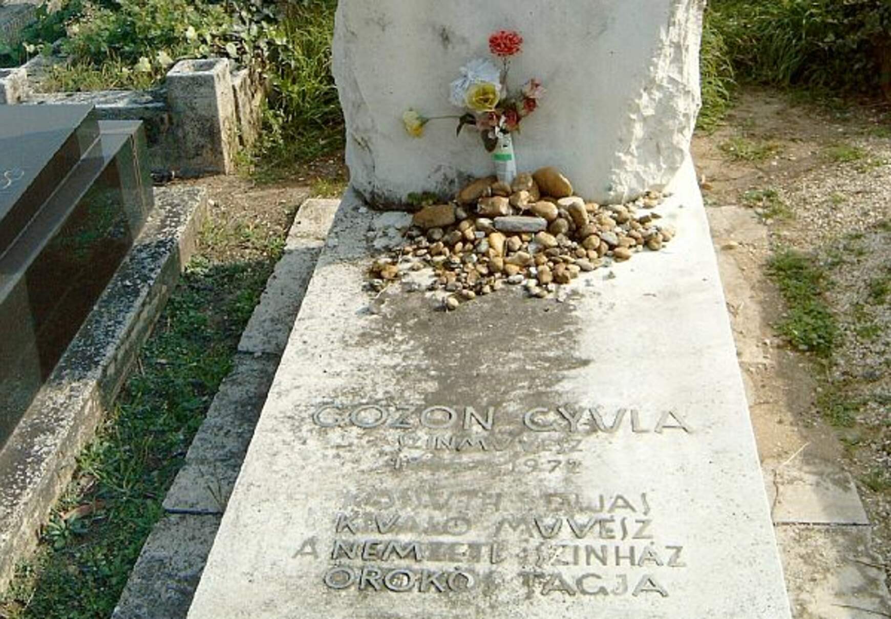 gózon
