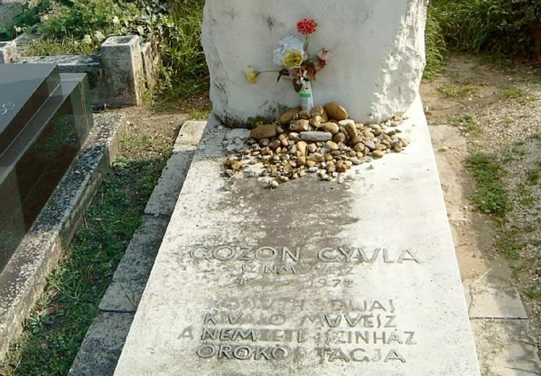 gózon