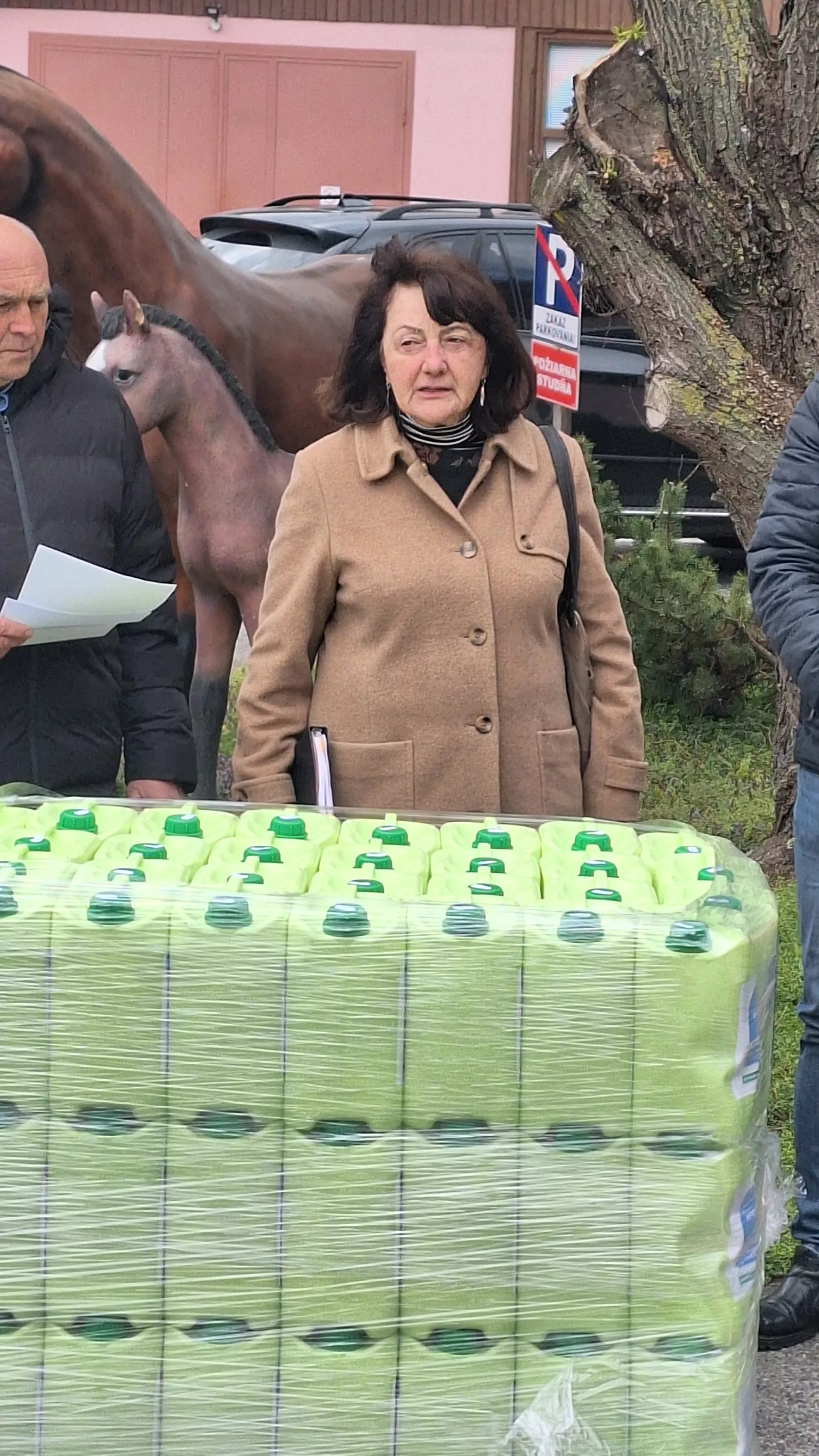 patasi-ilona