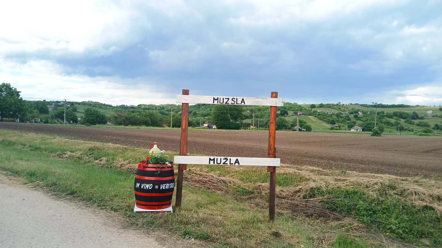 Muzsla szőlőhegy