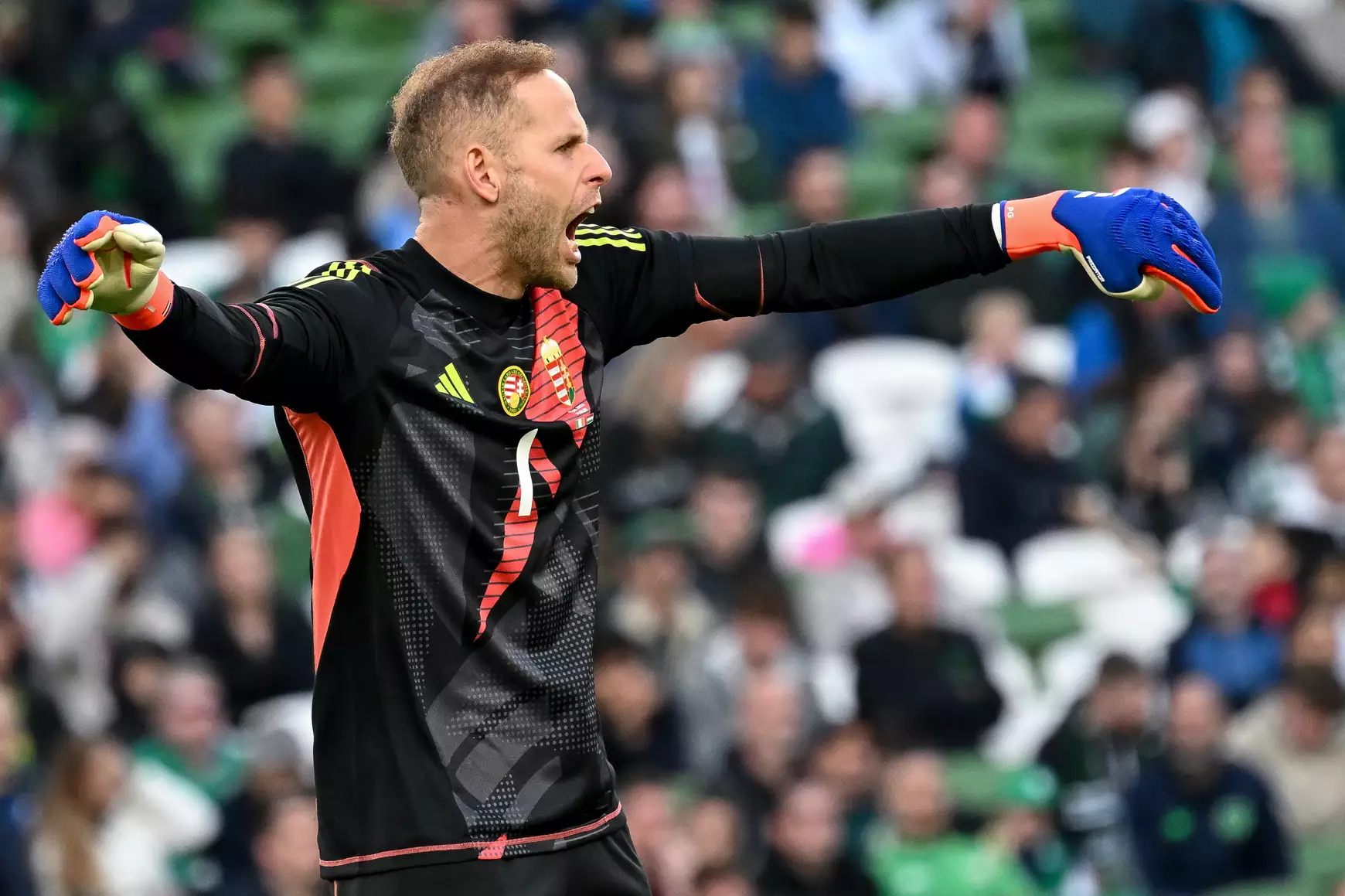 Gulácsi Péter