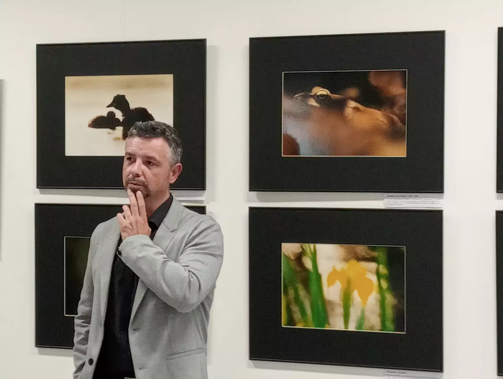 „Megőrizhetőek az élet igazi értékei…” – Fodor Péter természetfotós művei a komáromi „Szinnyeiben” - KÉPEKKEL