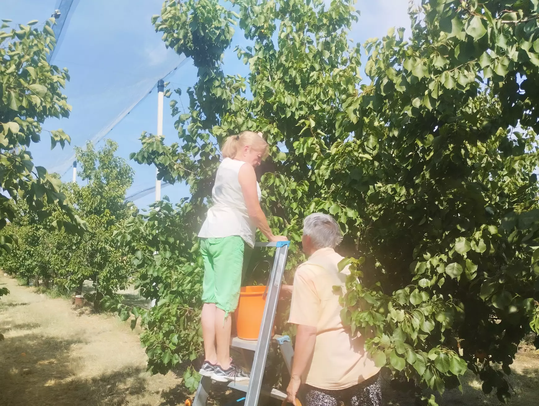 Szedd magad! Újgyalla