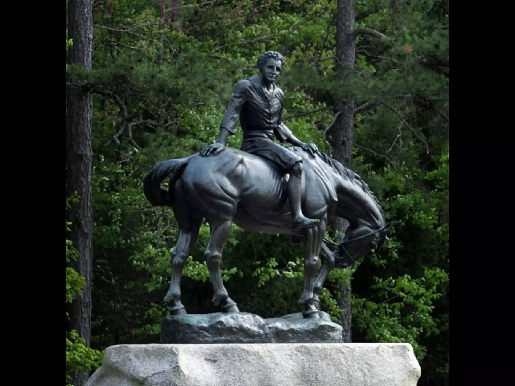 Andrew Jackson