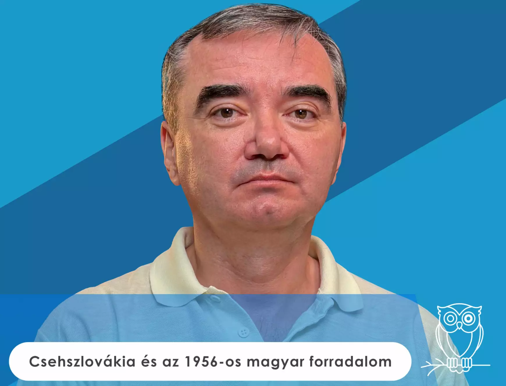 bagoly mondja