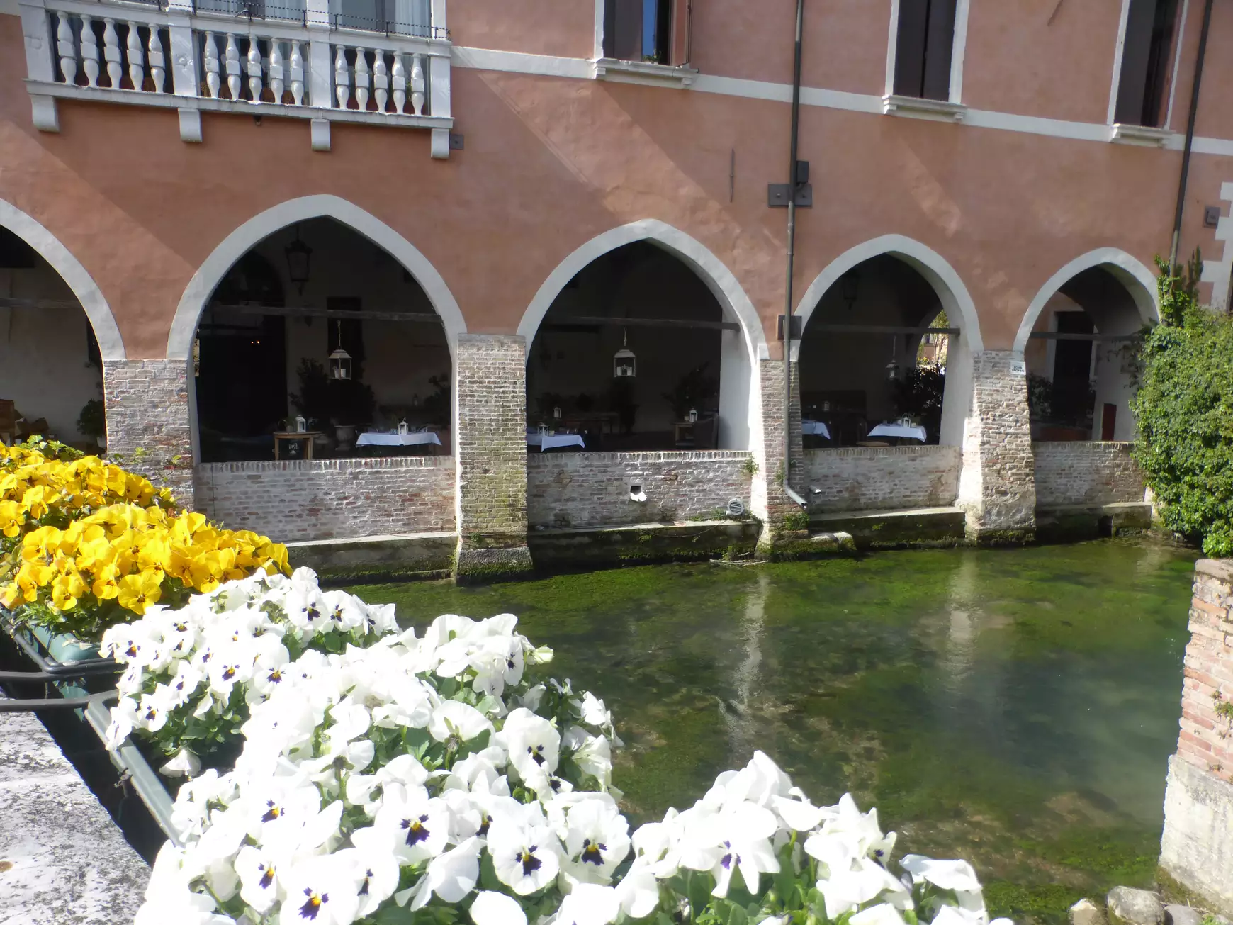 treviso