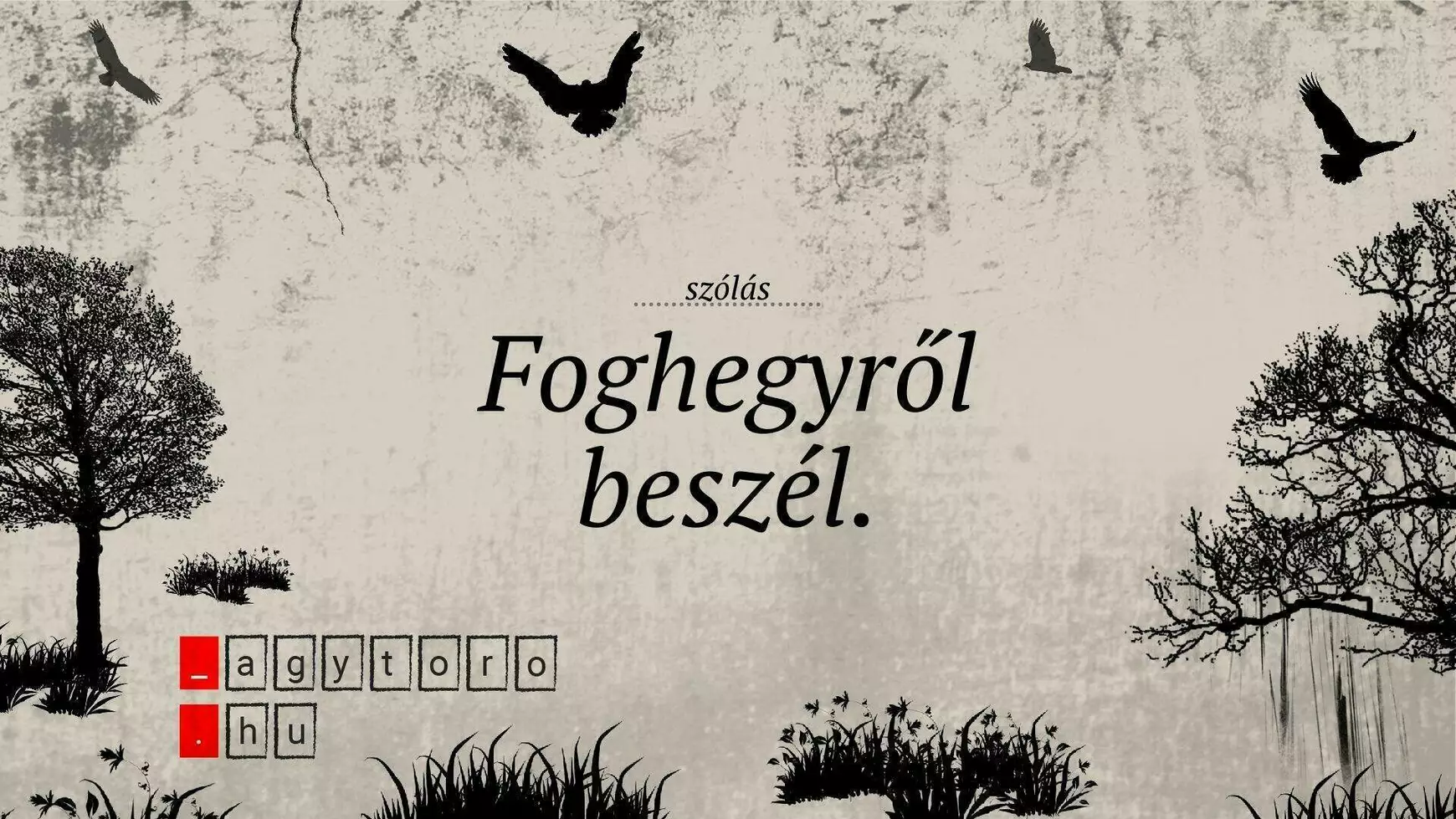 foghegyrol-beszel_agytoro.hu_