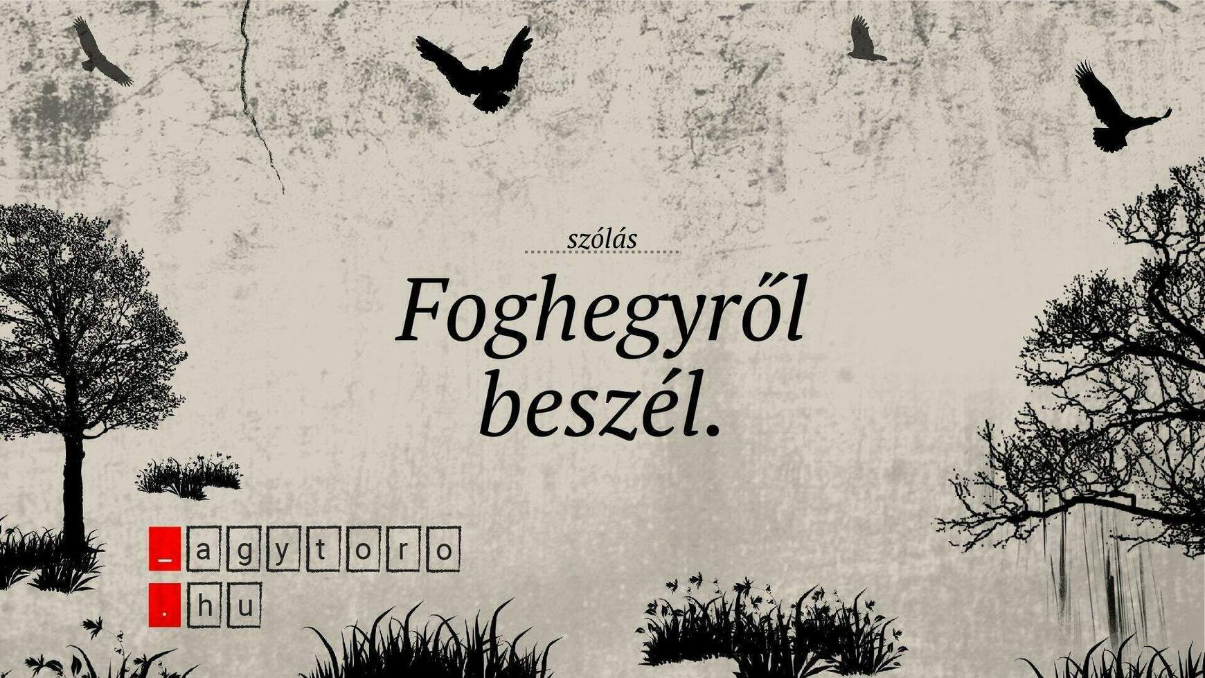 foghegyrol-beszel_agytoro.hu_