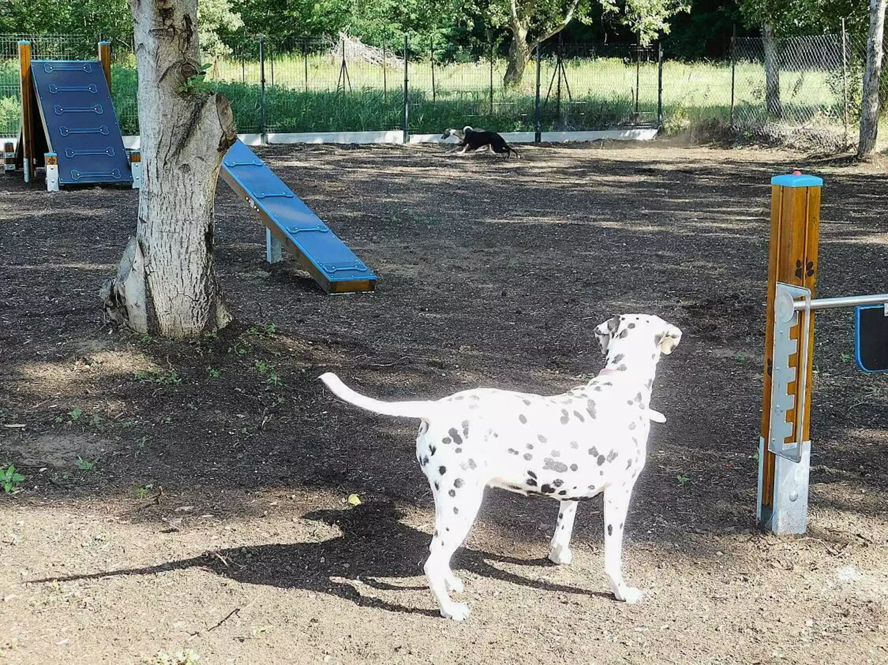 kutyafuttató Párkány 