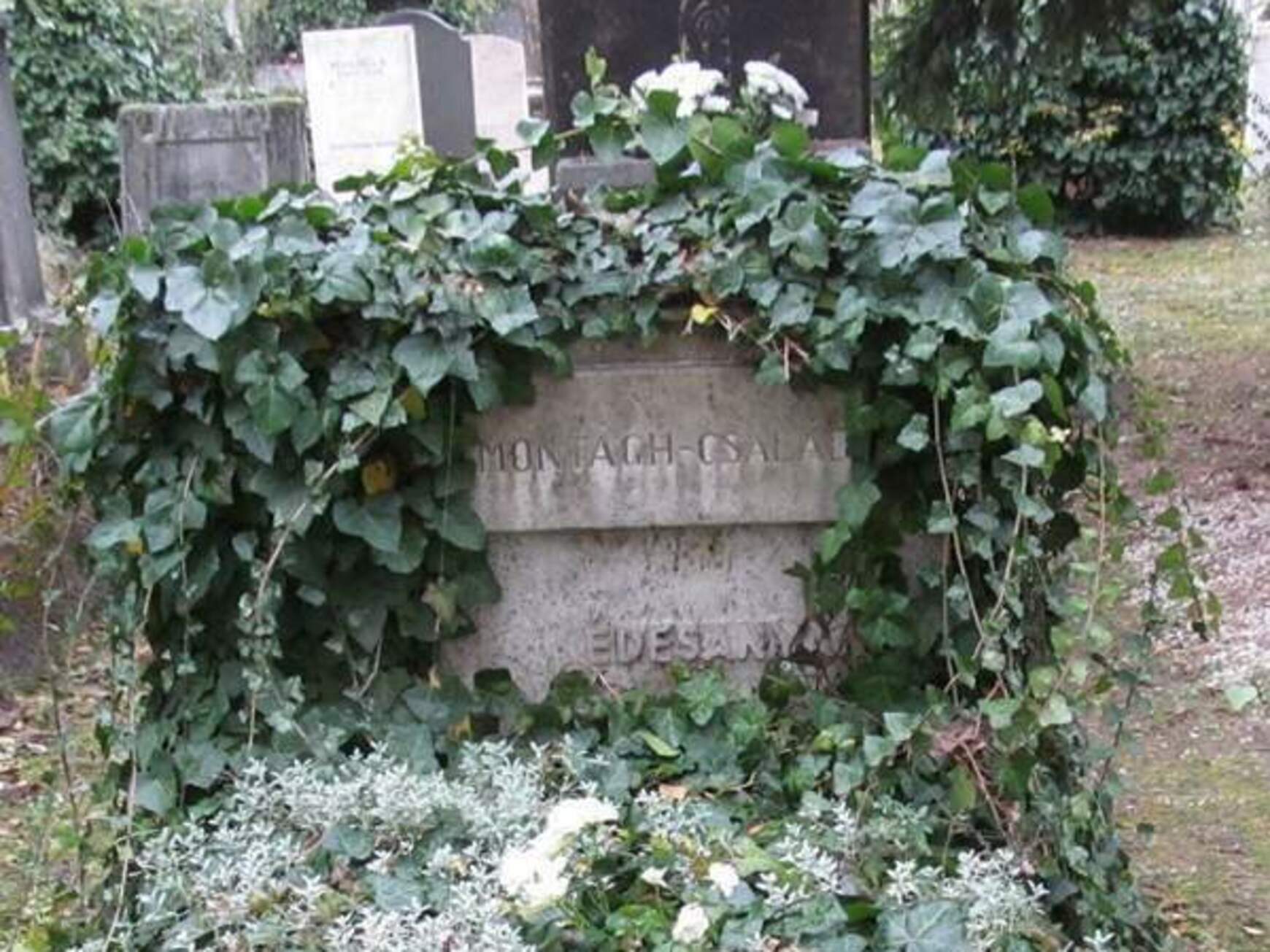 Montágh Imre sírja