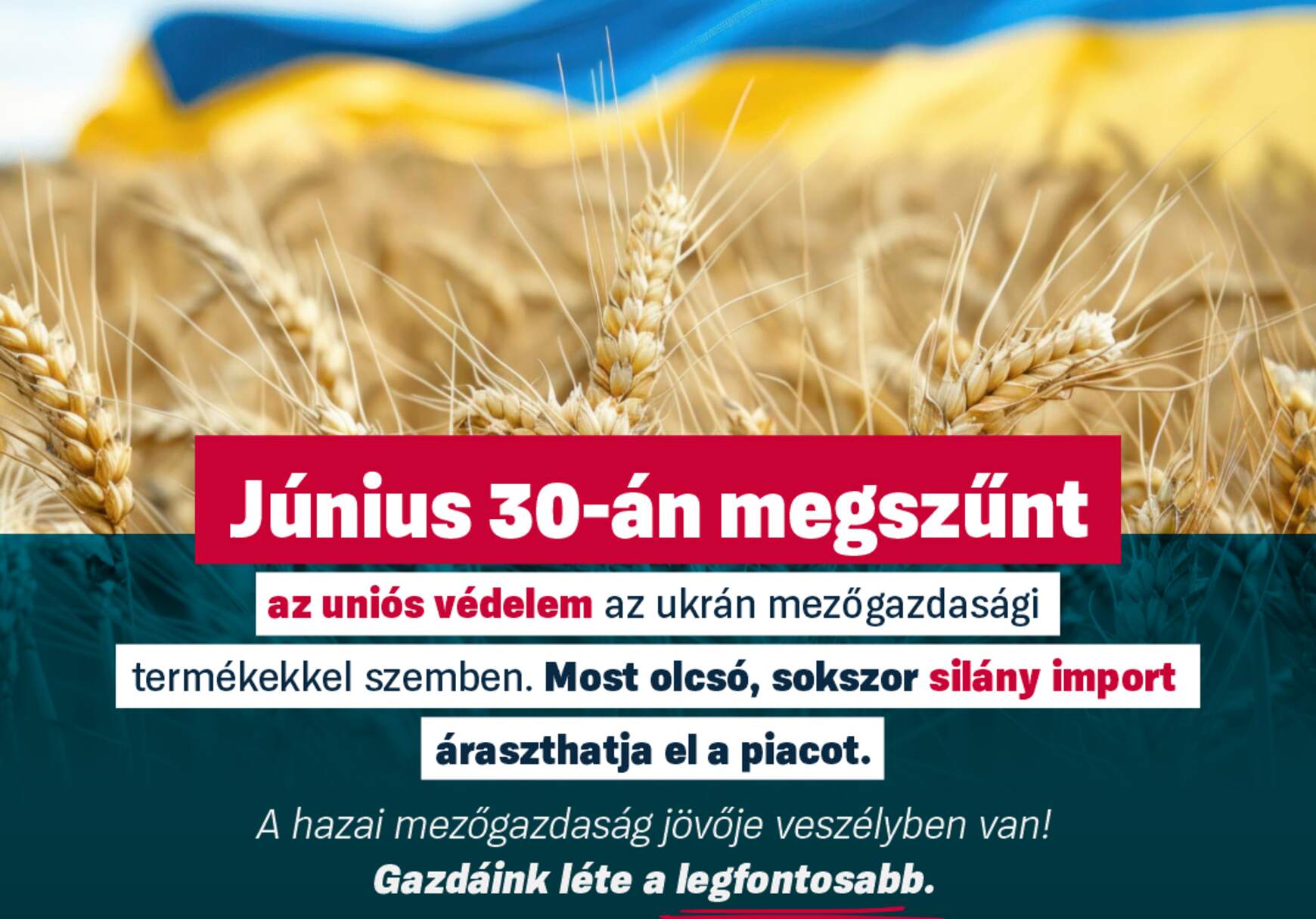 ukrán gabona