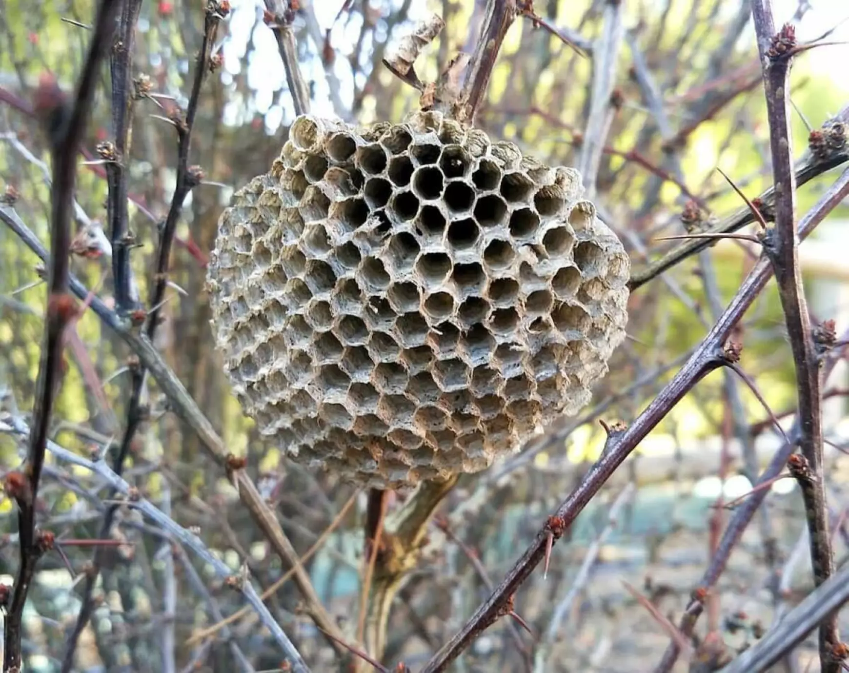 Hogyan tovább?