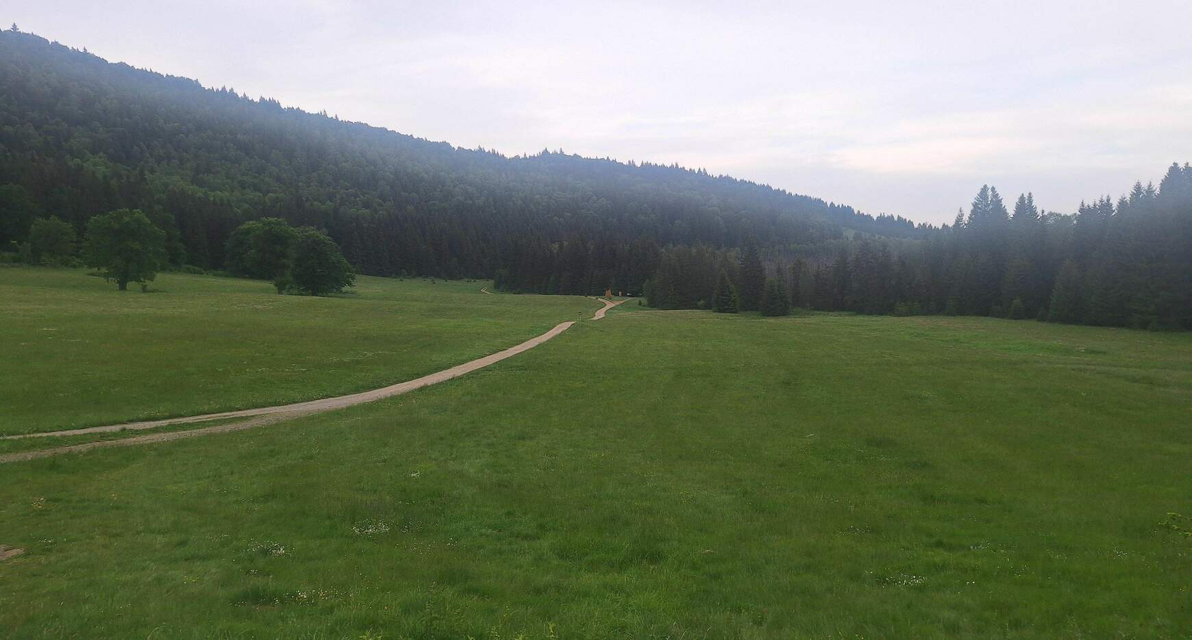 A mohos tőzegláp távolról