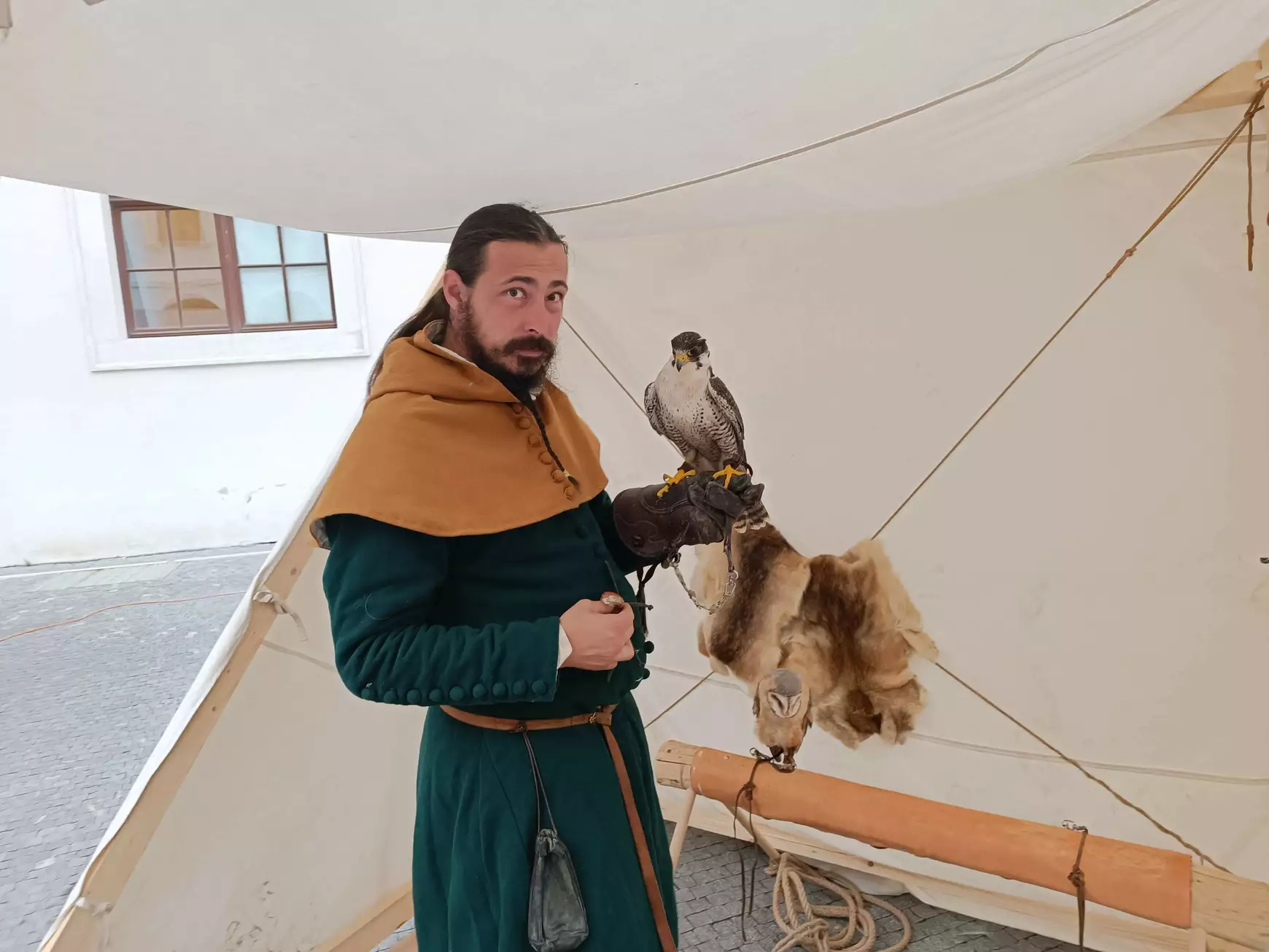 A solymász (Martin Bobrík)