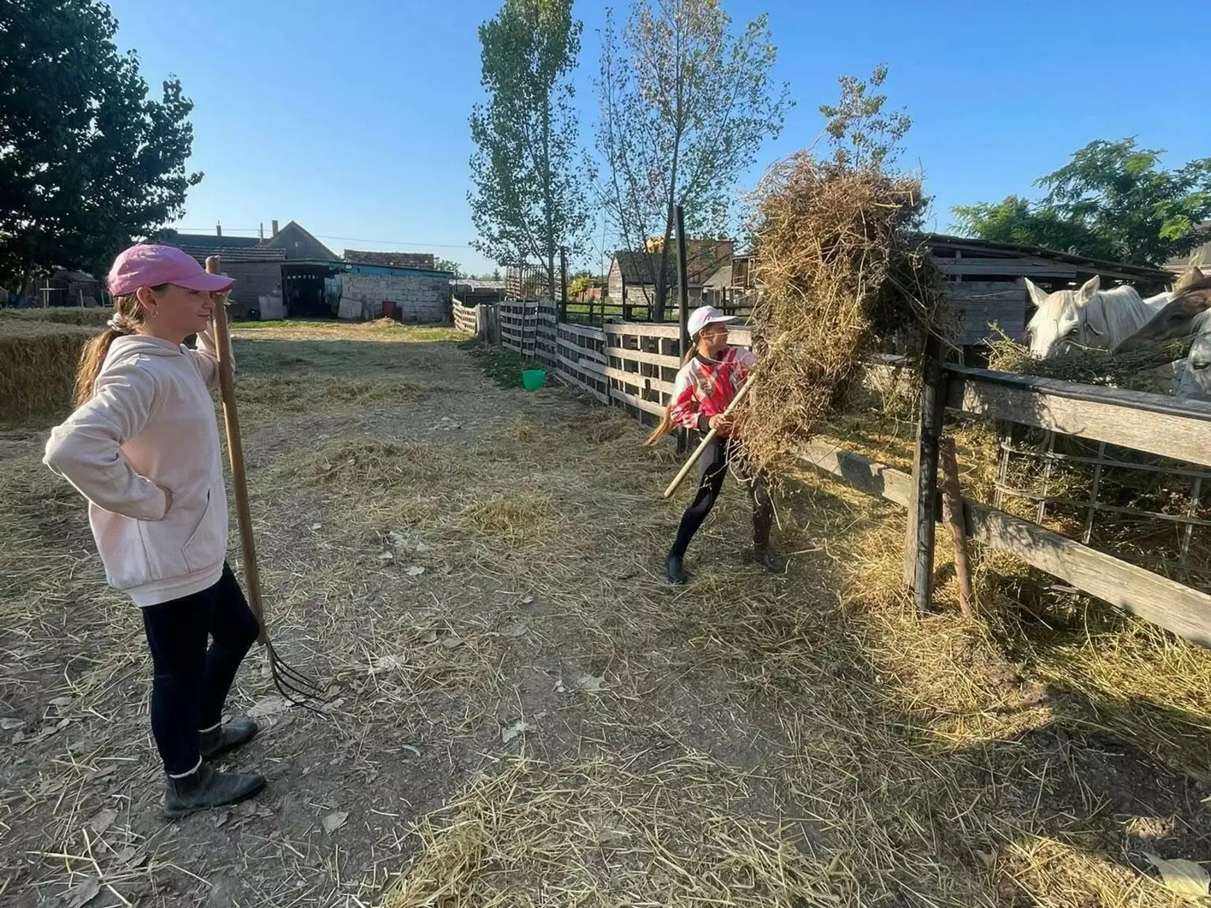 BlankZol Ranch