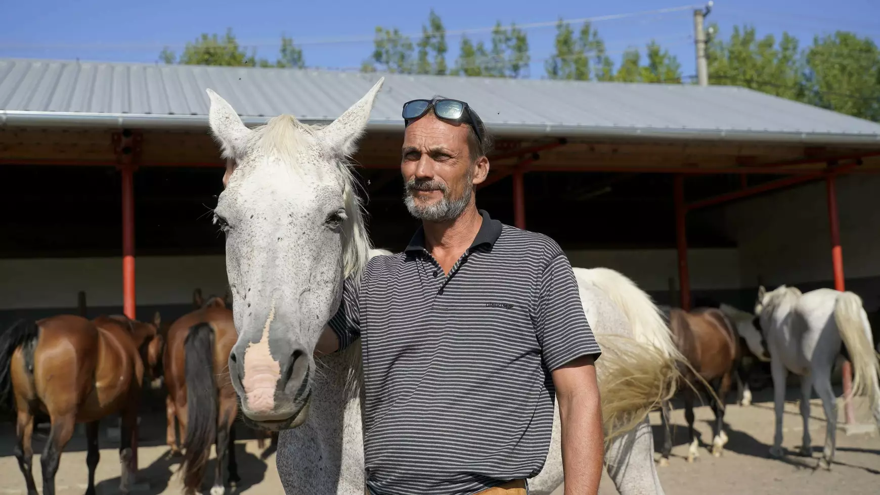 Sereghy Zoltán