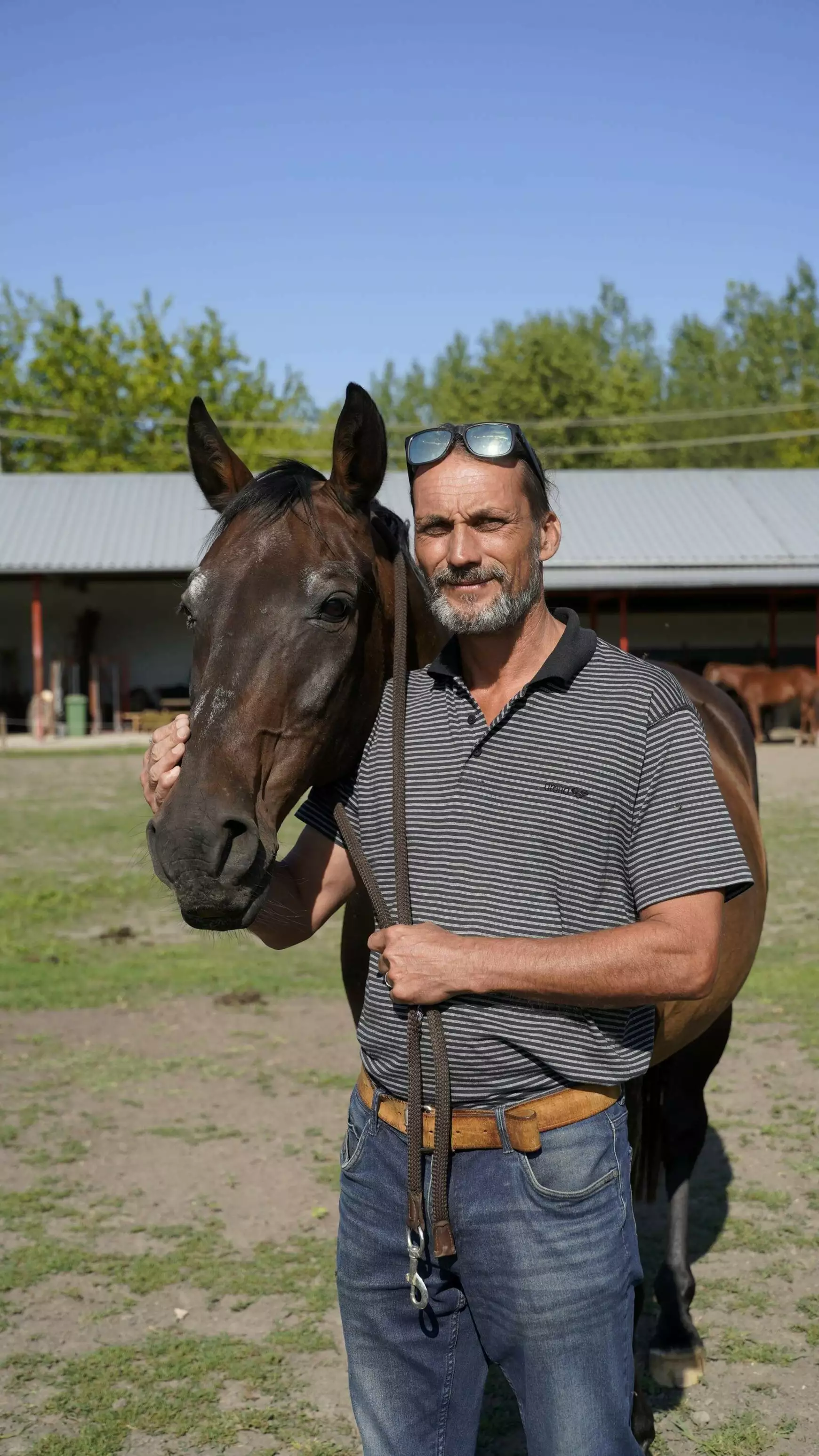 Sereghy Zoltán 