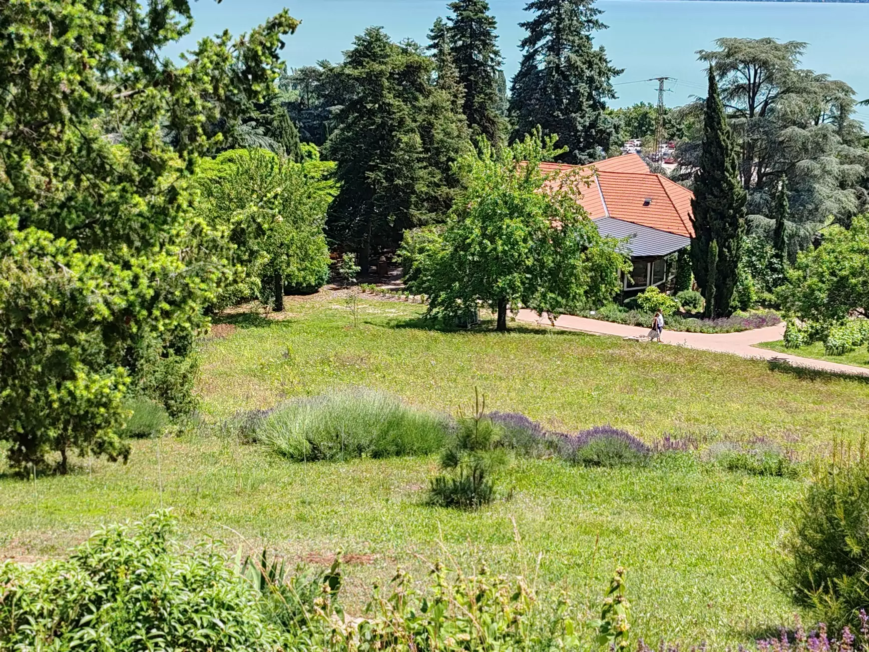 Természet