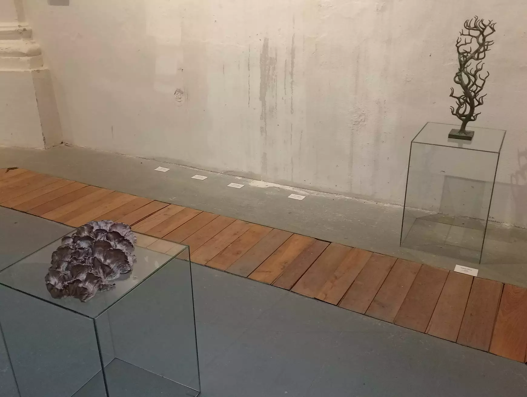 Képzetekkel, párbeszéddel az összmagyar együttműködés jegyében - KÉPEKKEL 