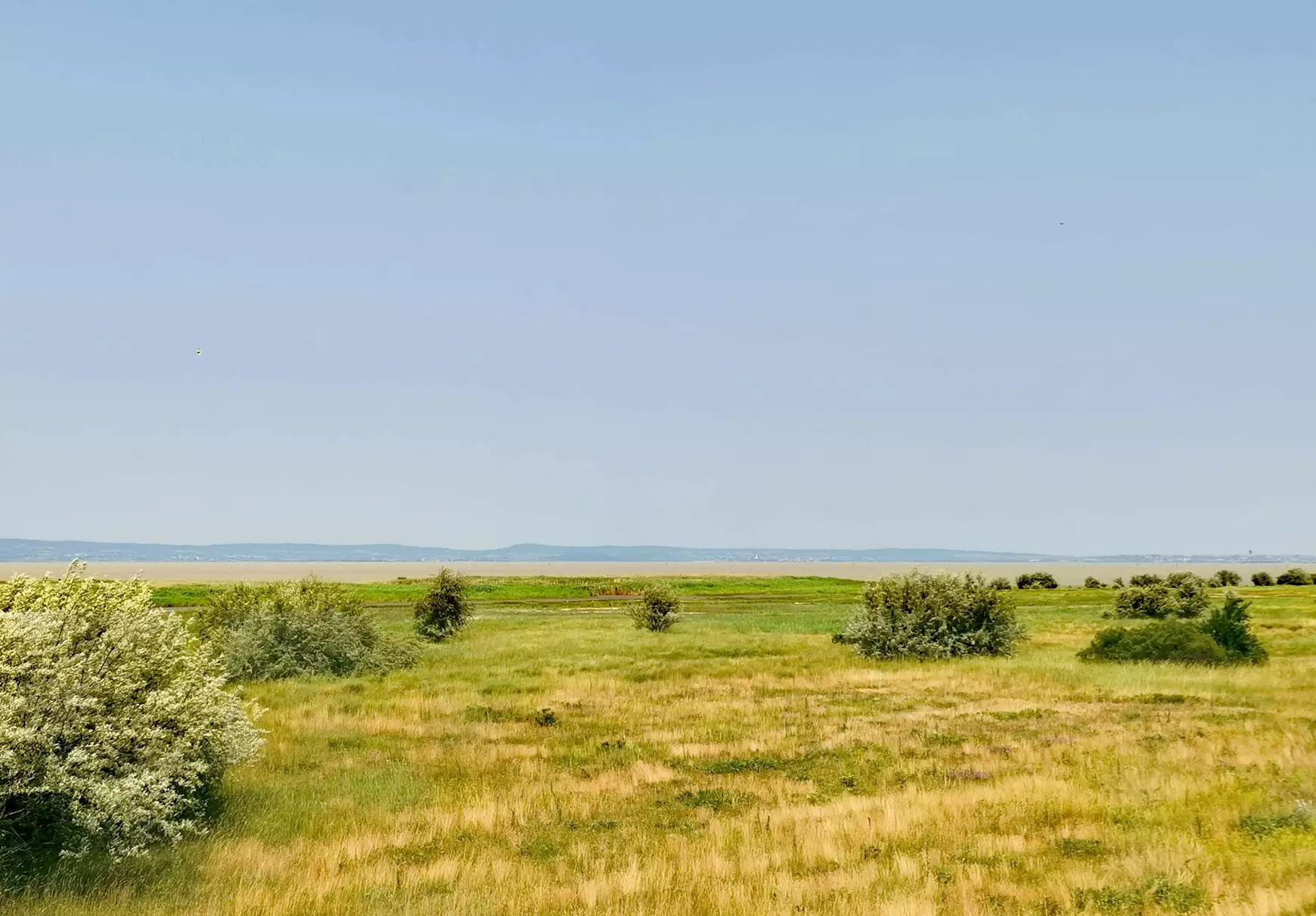 Természet