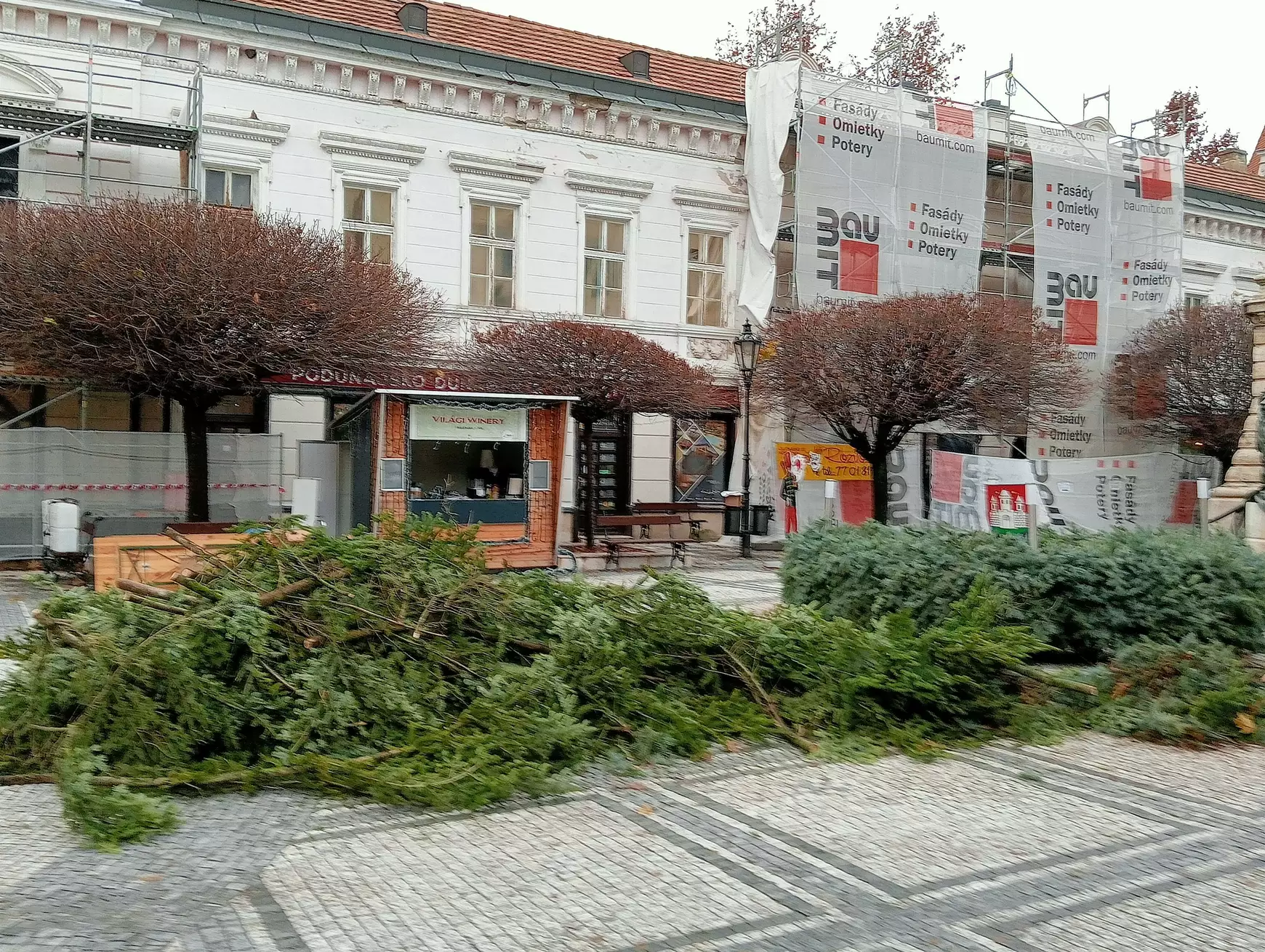 Ünnepváró készülődés Komáromban: a Klapka téren már áll a város karácsonyfája – KÉPEKKEL