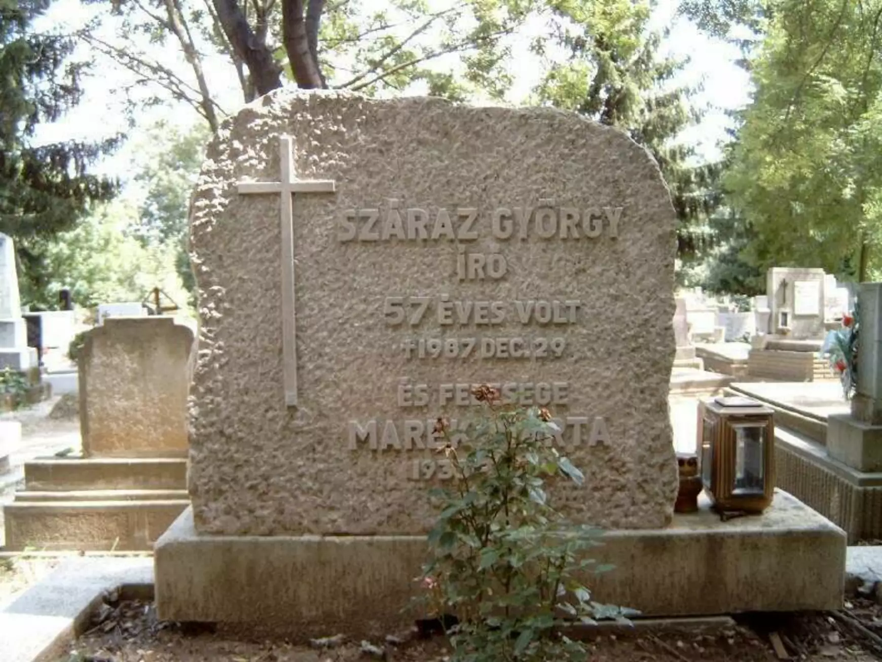 Száraz György, a magyar történelem lelkiismerete